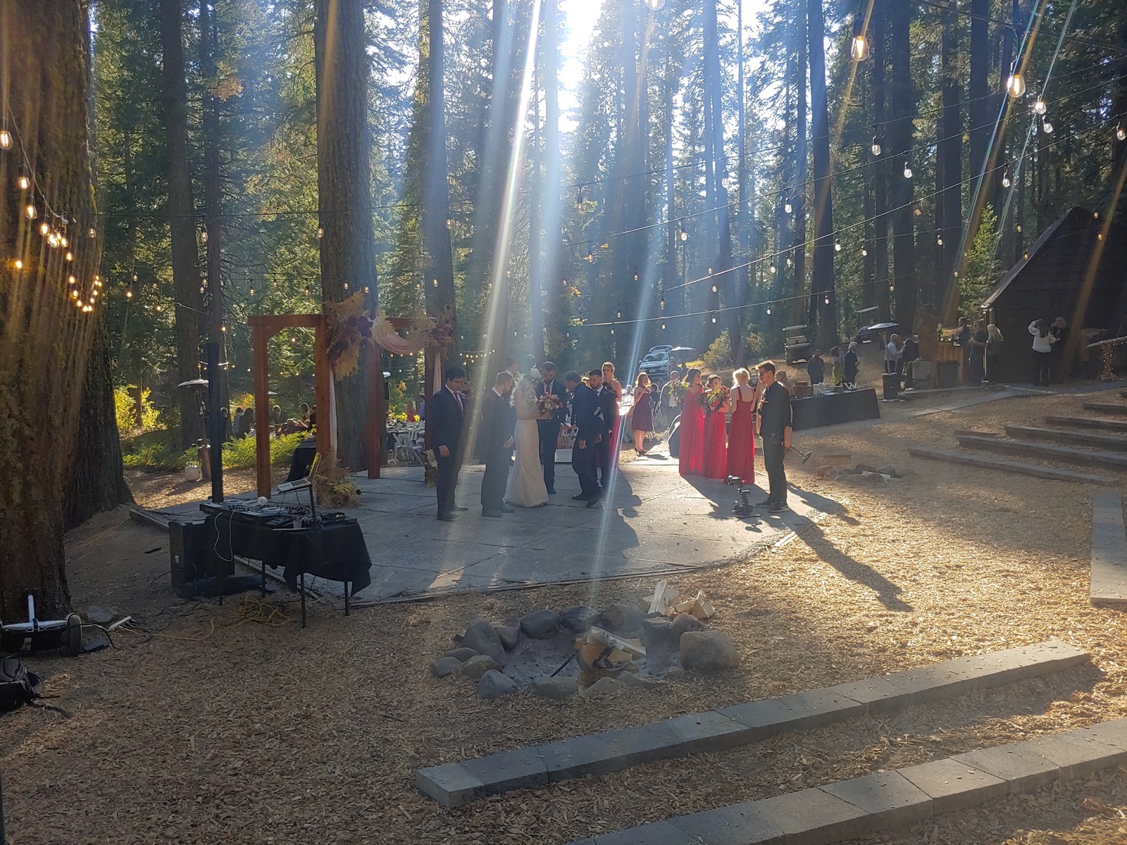 Hailey & Brandon's Forest Wedding in Jamestown, CA