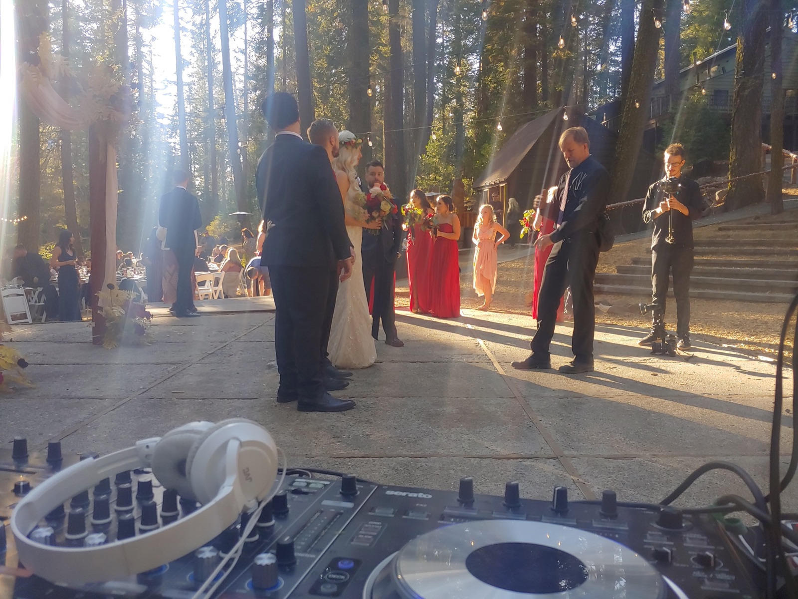 Hailey & Brandon's Forest Wedding in Jamestown, CA