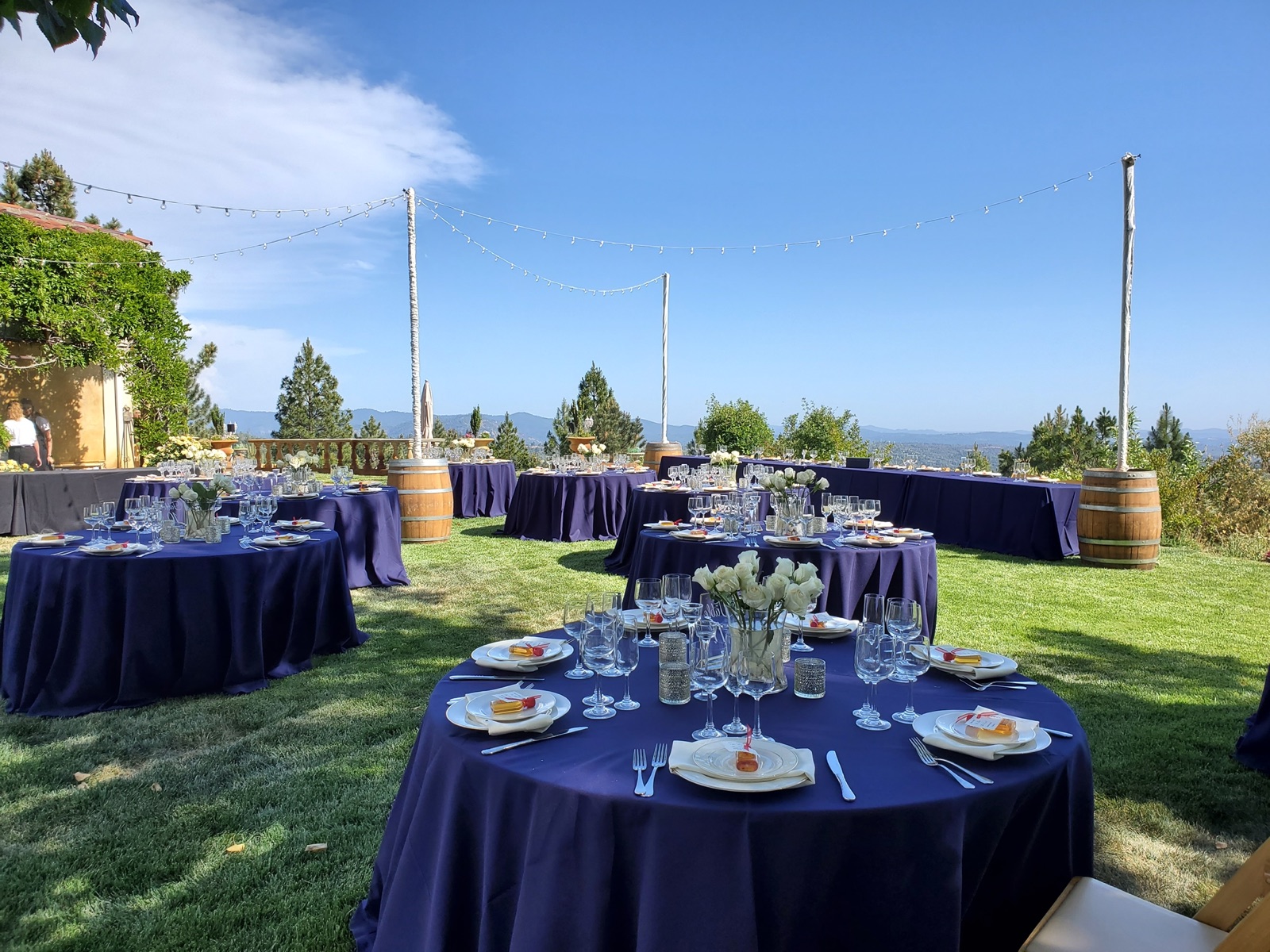 Hailey & Cameron's Hilltop Summer Wedding near Tracy, CA