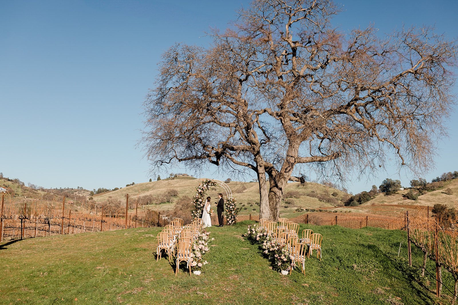 Los Robles ceremony lawn with vineyard views at Airola Road Vineyards in Angels Camp, California