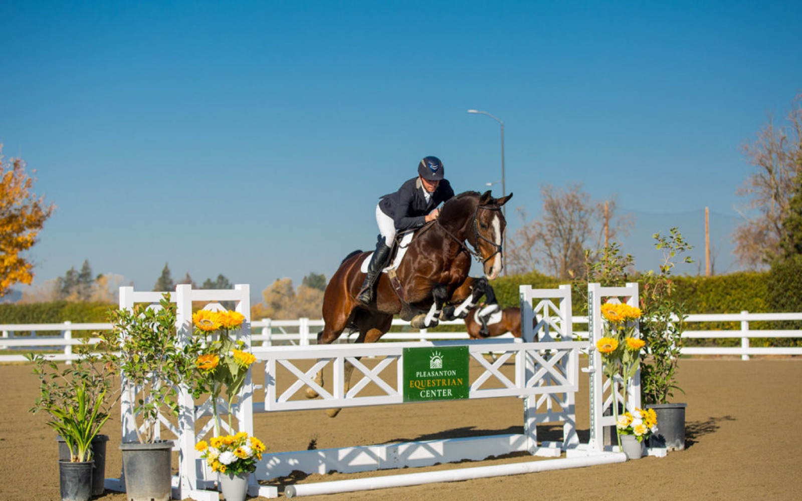 Pleasanton Equestrian Center grounds at Alameda County Fairgrounds Event Center in Pleasanton, California