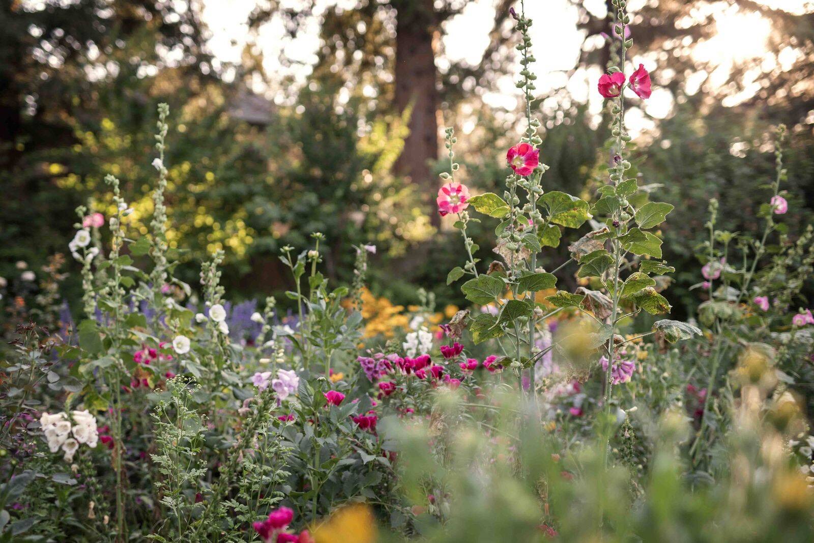 Resort grounds and garden setting at Appellation Lodi - Wine & Roses Resort and Spa in Lodi, California