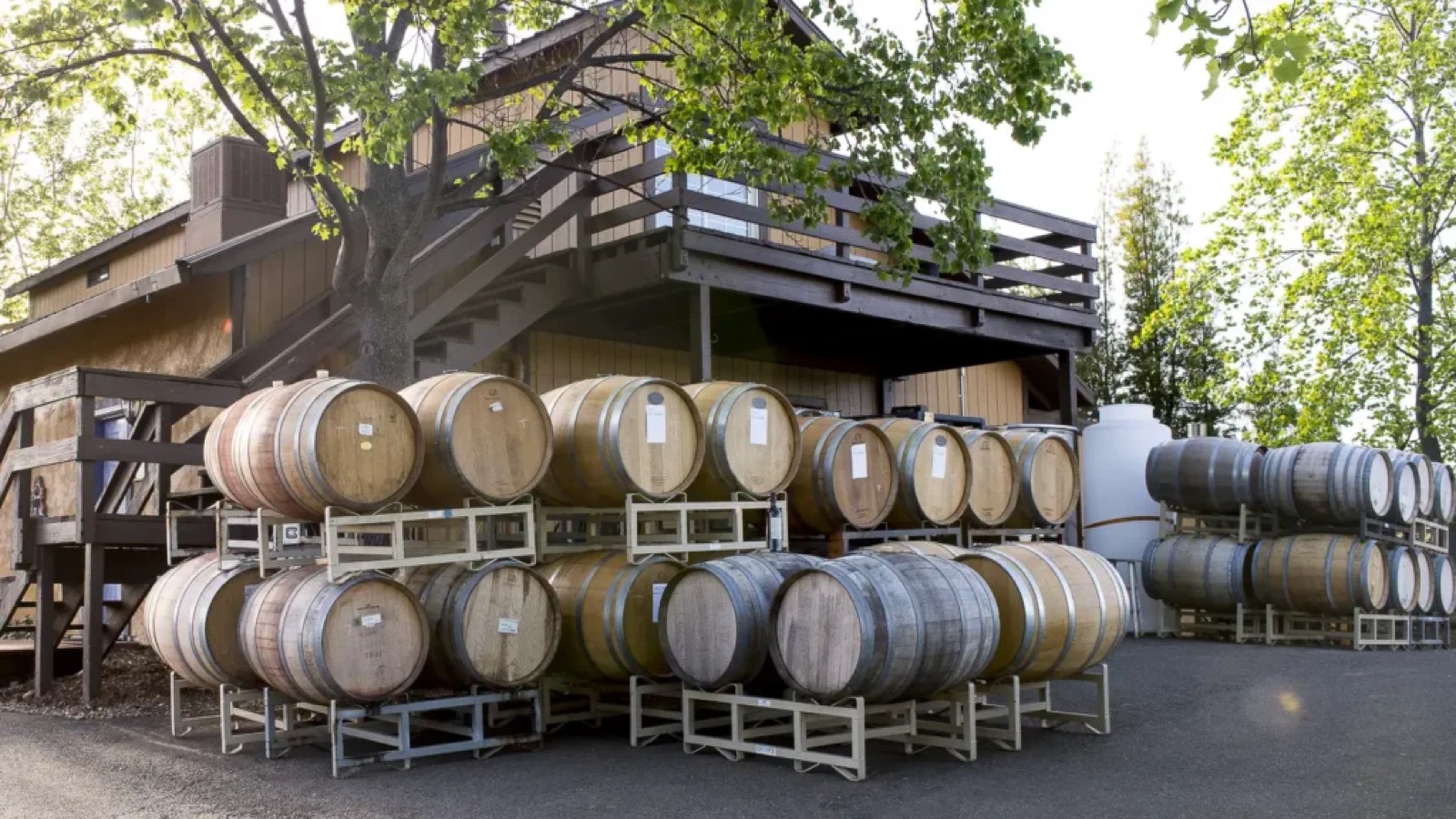 Avio Vineyards