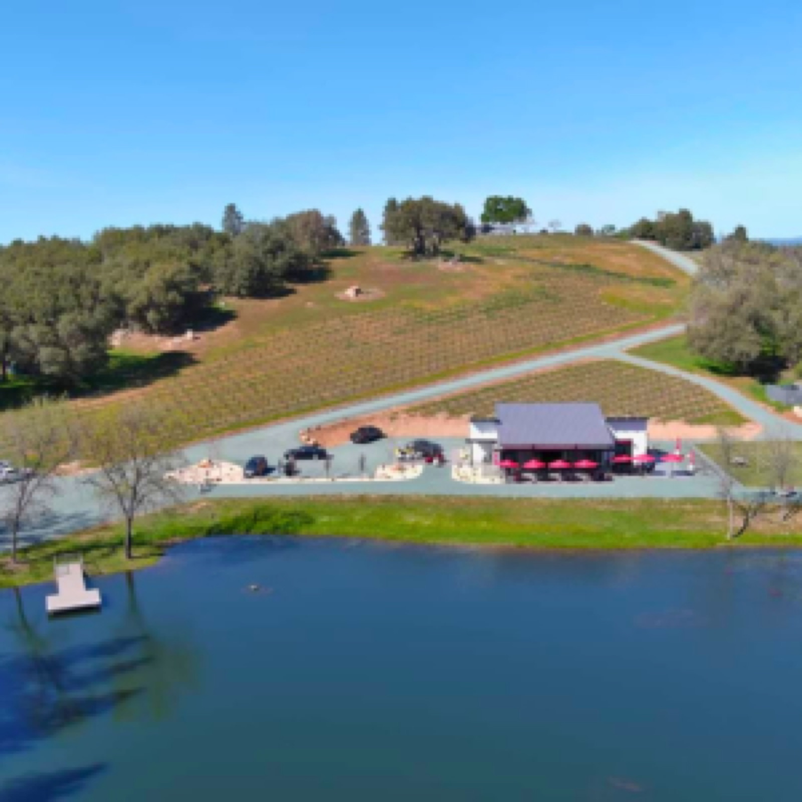 Three-acre pond and vineyard backdrop at Belledor Vineyards wedding venue in Plymouth, California