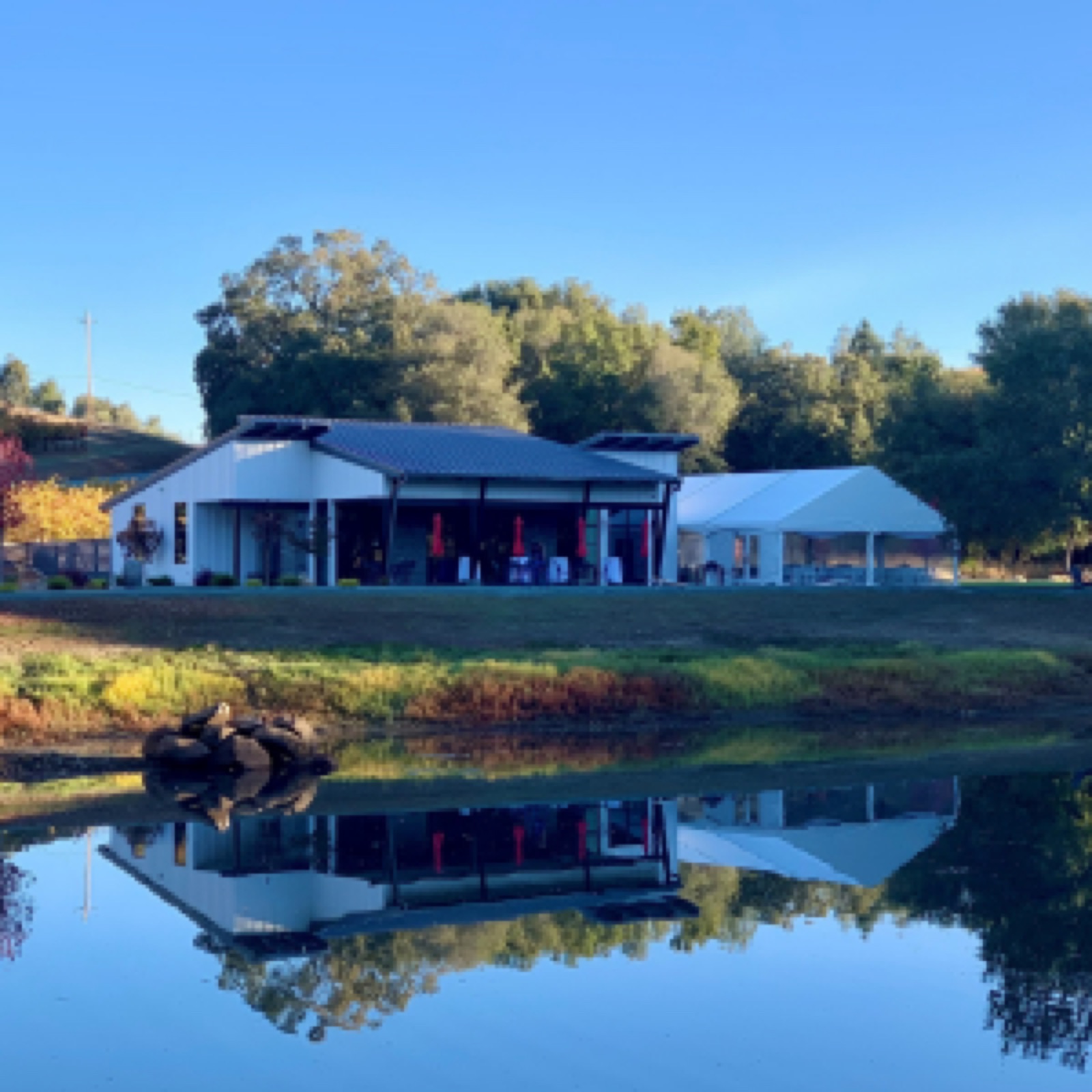 Wedding tent overlooking the pond at Belledor Vineyards in Plymouth, California