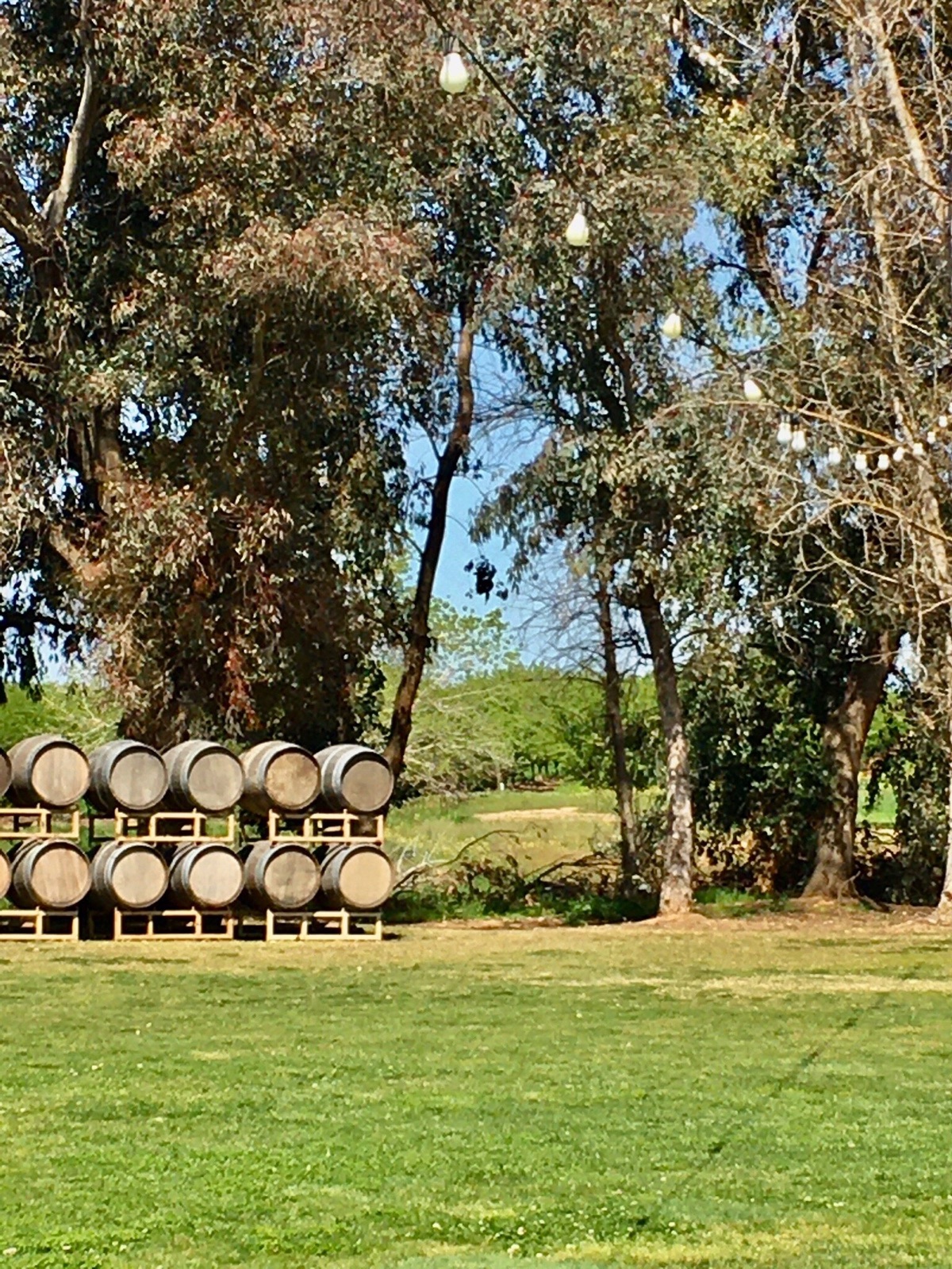 Grounds and tasting area at Birdstone Winery in Madera, California