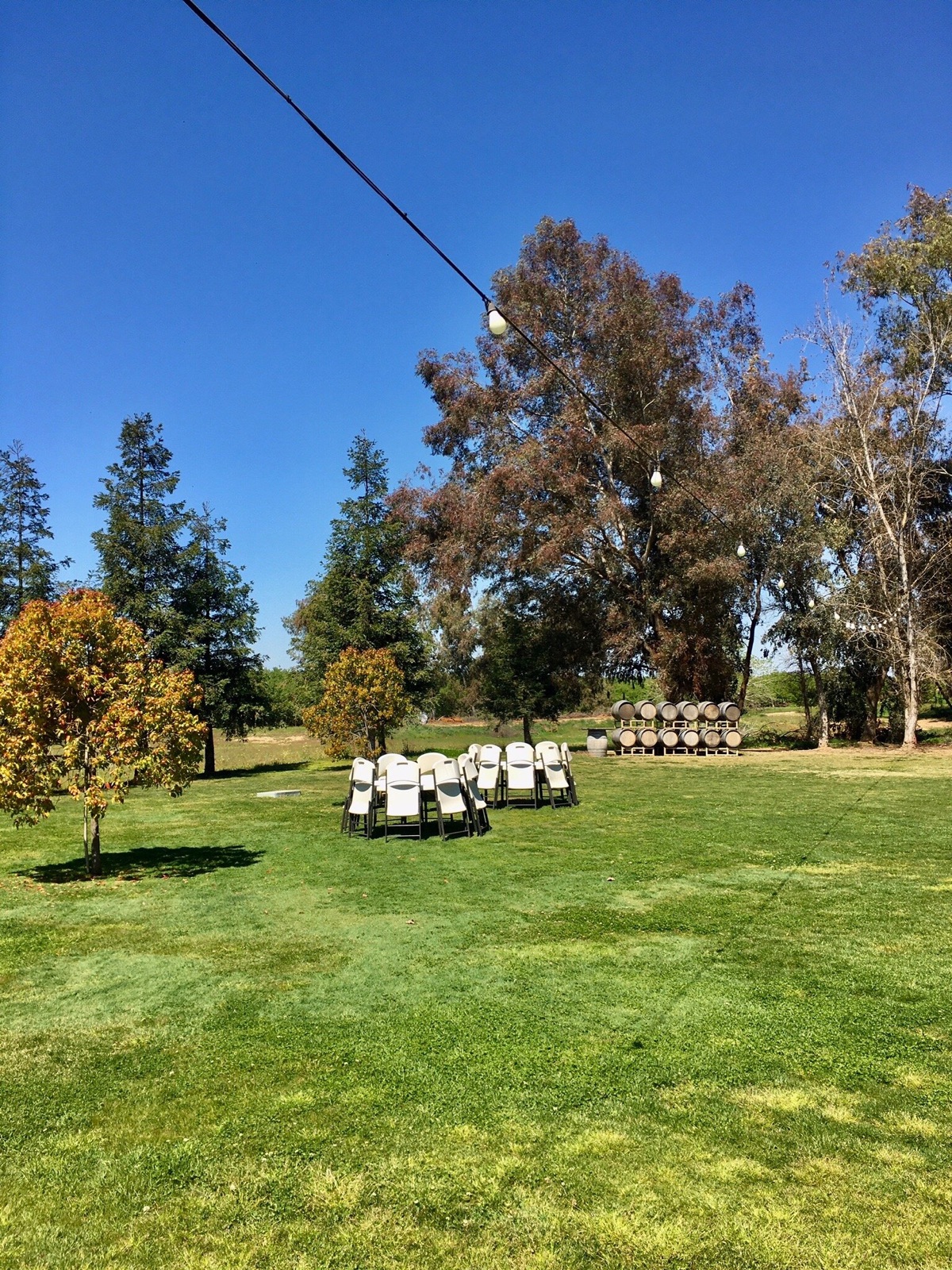 Tasting room setting at Birdstone Winery wedding venue in Madera, California