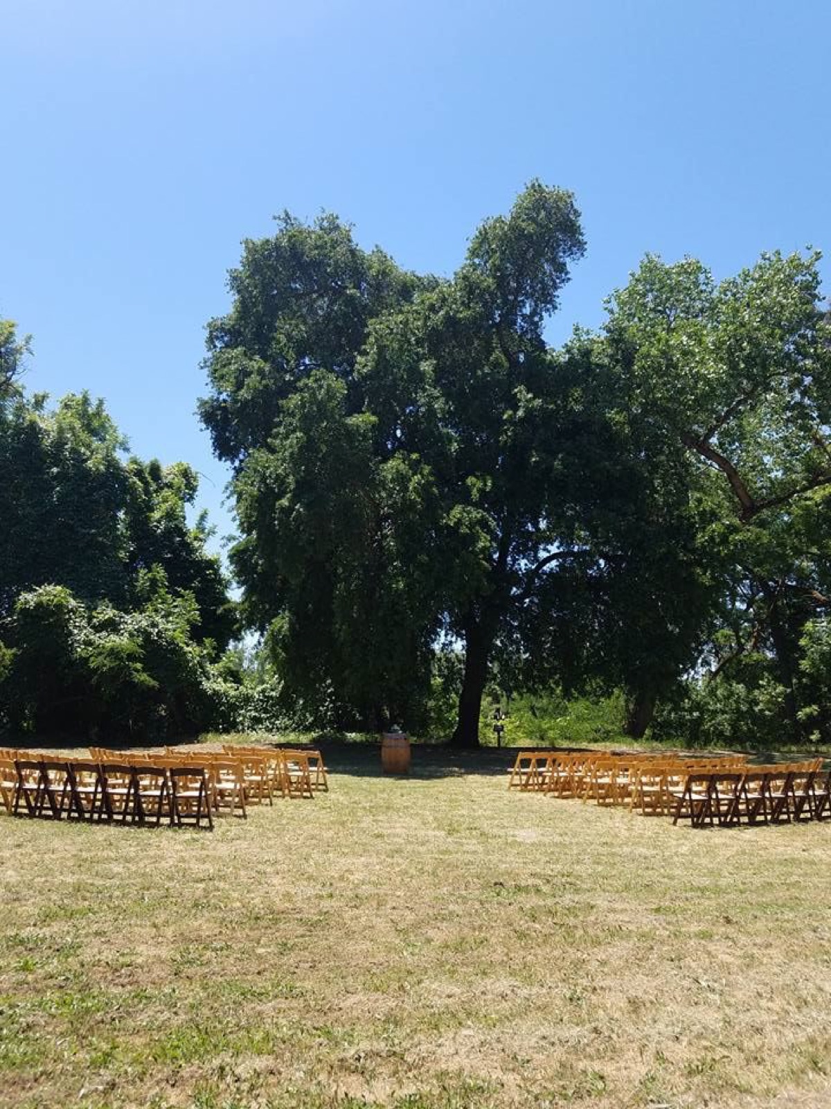 Wooded riverside grounds at Camp Pollock wedding venue in Sacramento, California