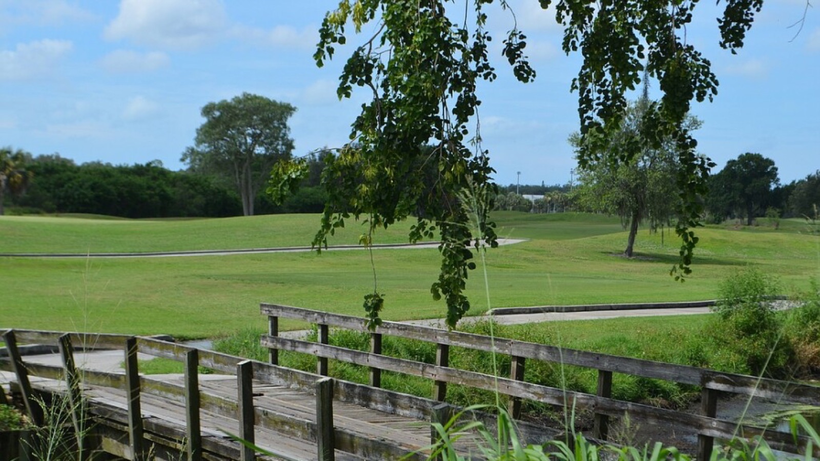 Oak trees and green fairways at Castle Oaks Golf Club wedding venue in Ione, California