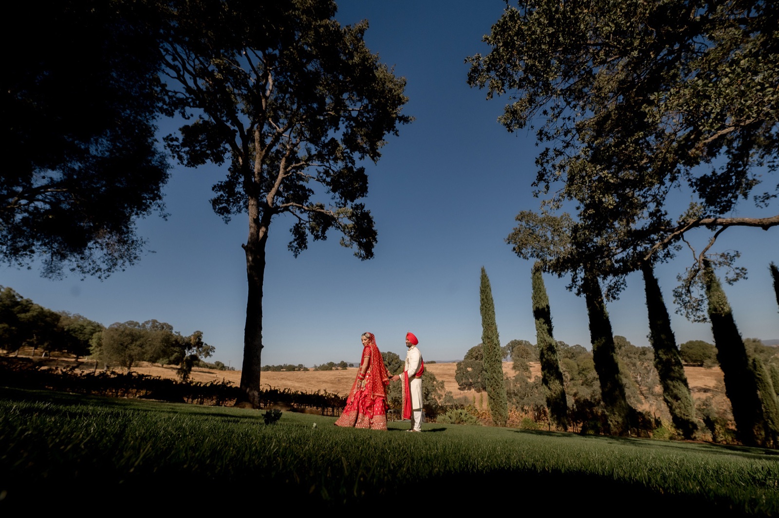 Clondaire Estate & Vineyards