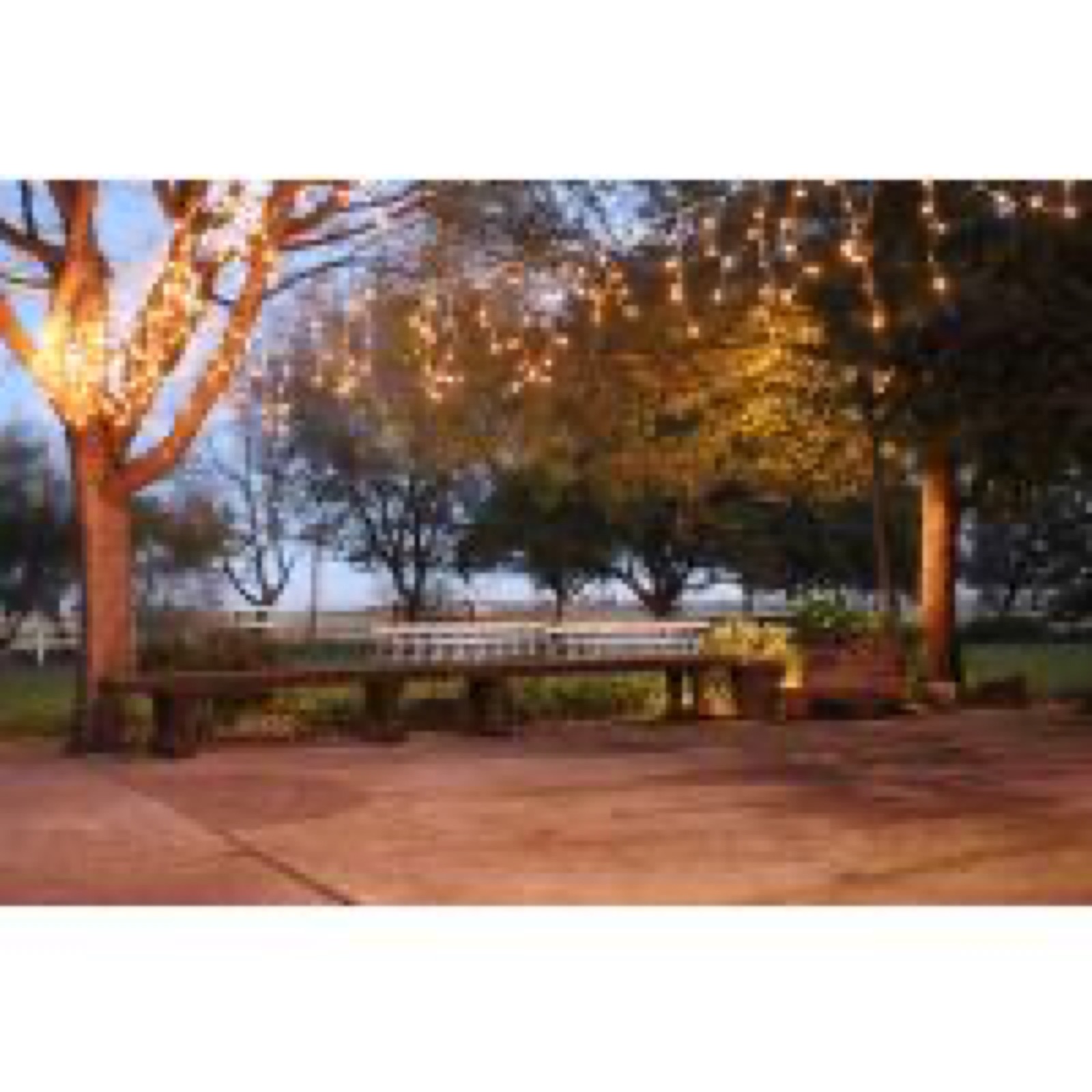 Reception space at Cotton Tree Ranch country wedding venue in Dos Palos, California