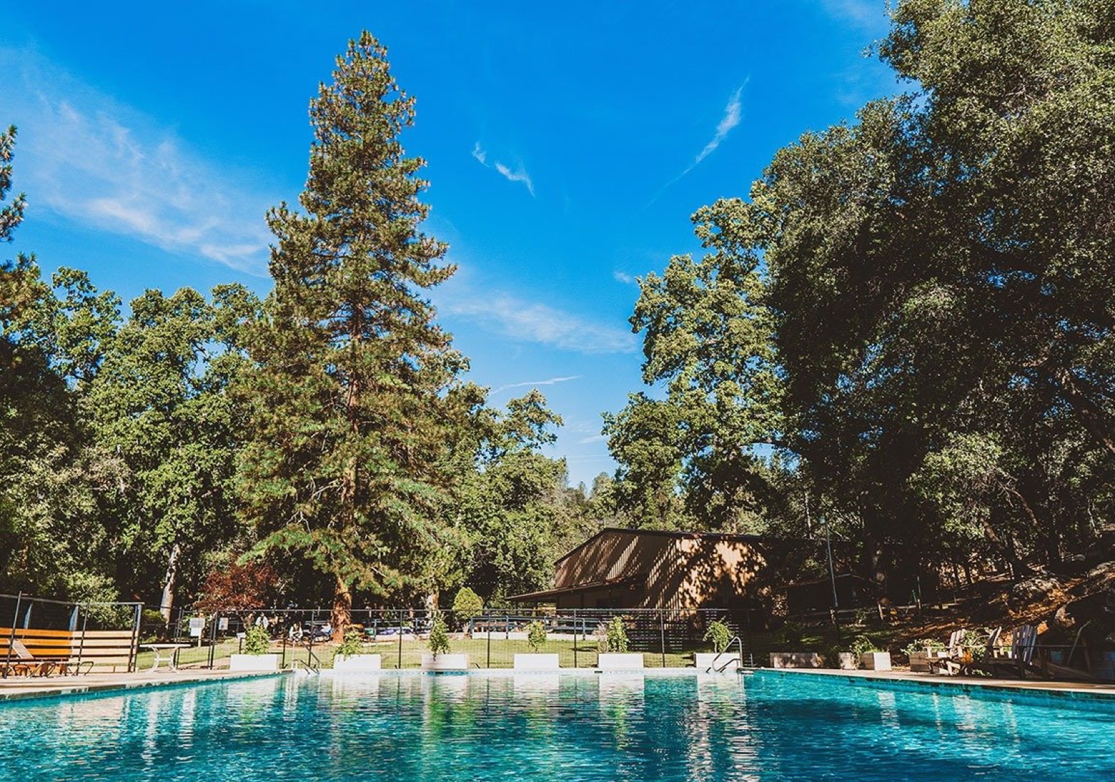 The Big Swim pool and woodland landscape at Deloro Valley wedding venue in Tuolumne, California