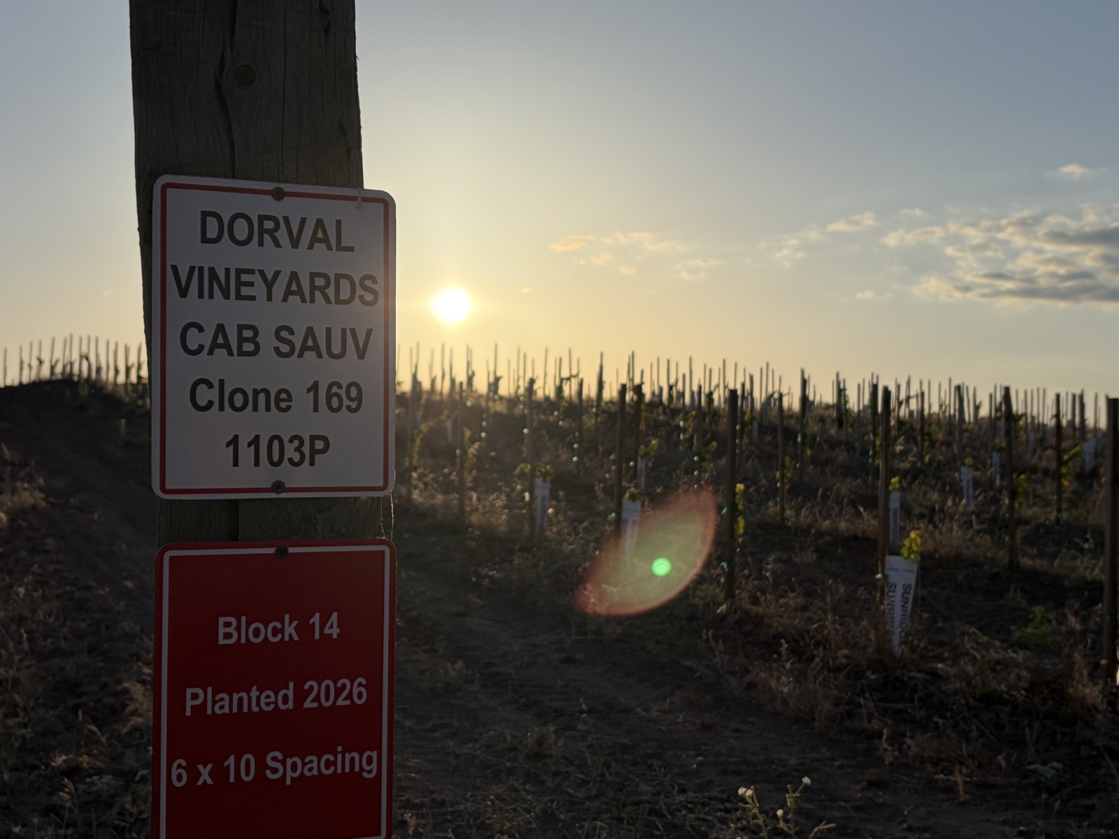 Estate views and foothill terrain at Dorval Estate Winery in Madera, California