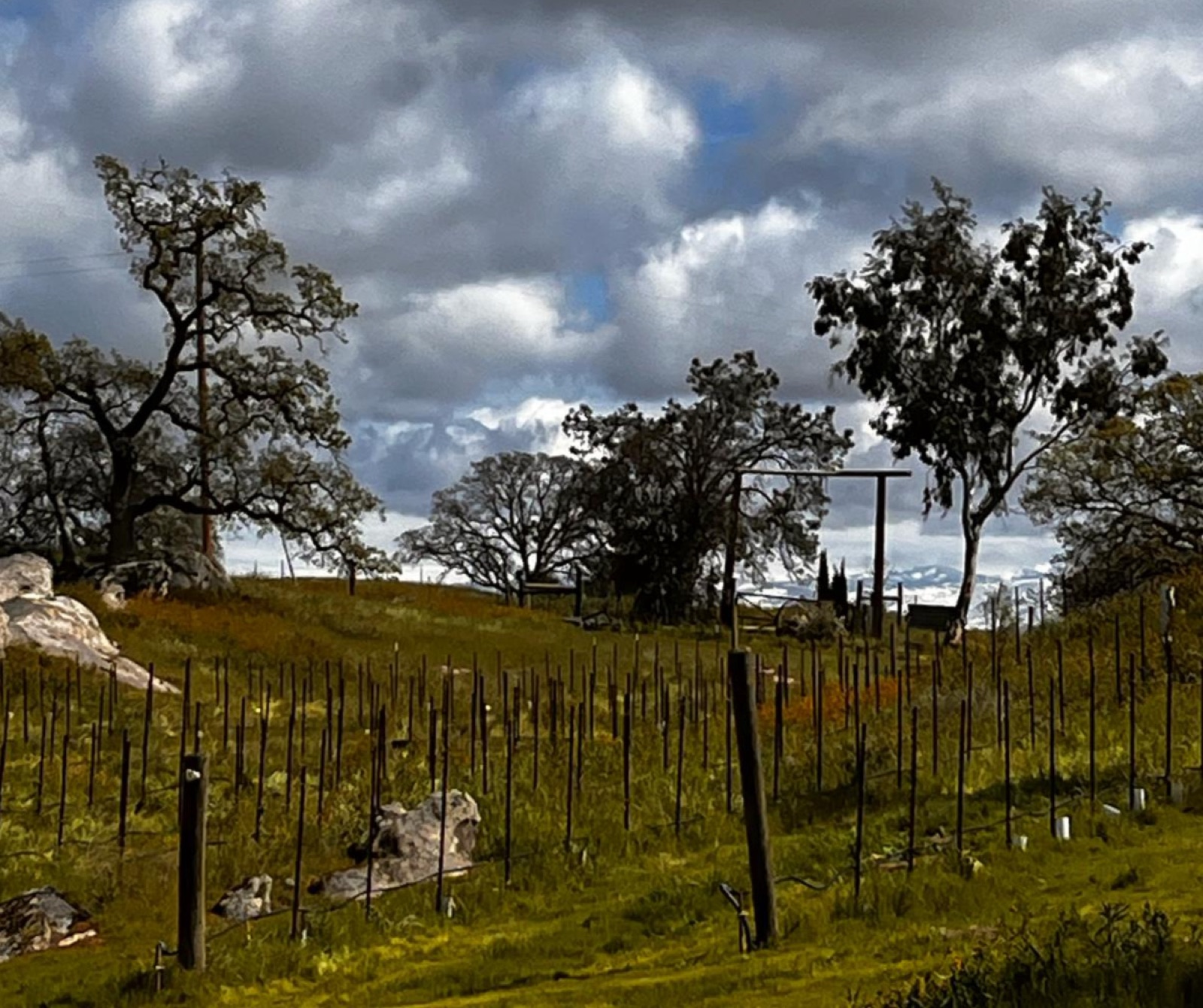 Garden and event setting at Dorval Estate Winery in Madera, California