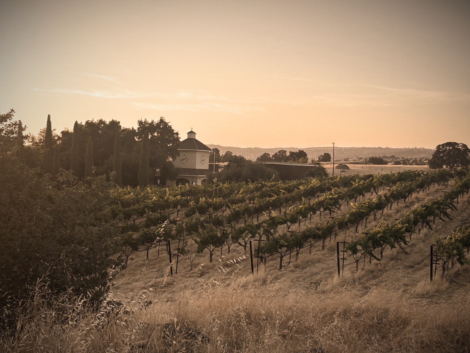 Outdoor patio and gathering space at Dorval Estate Winery in Madera, California