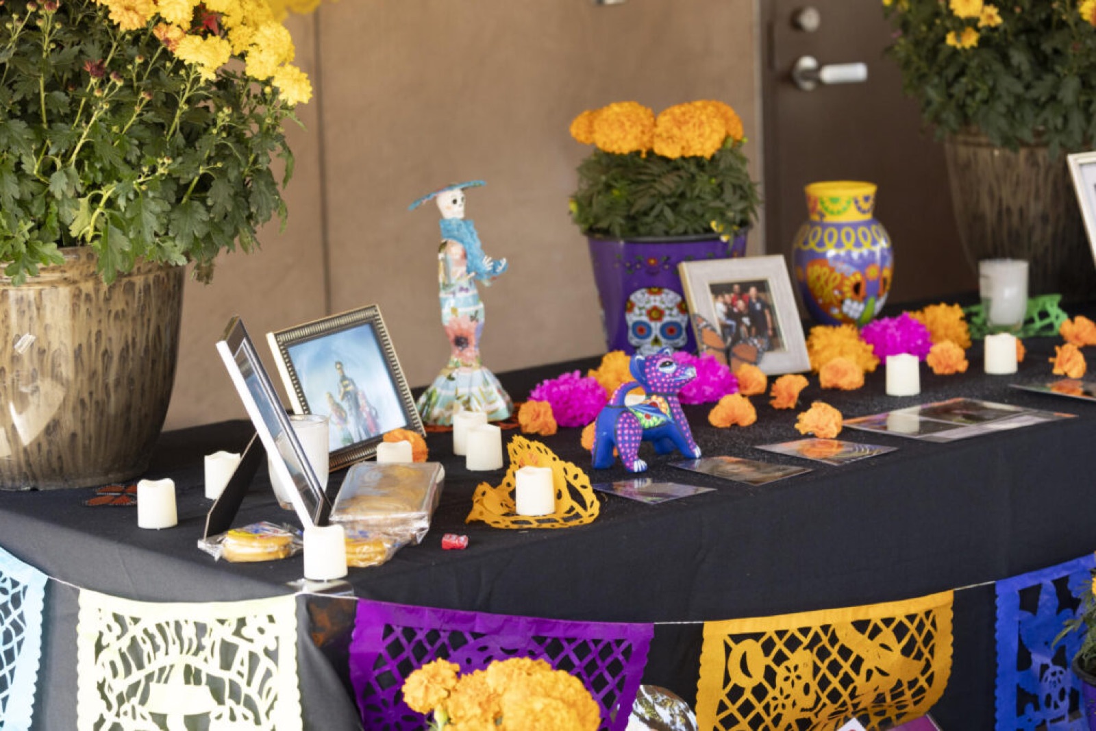 Outdoor gathering space at Fresno Chaffee Zoo wedding venue in Fresno, California