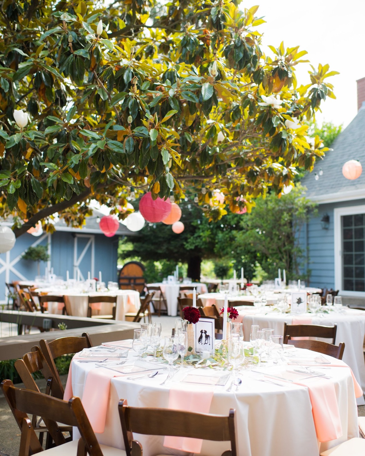 Wedding couple in the gardens at Harmony Wynelands winery, Lodi, California