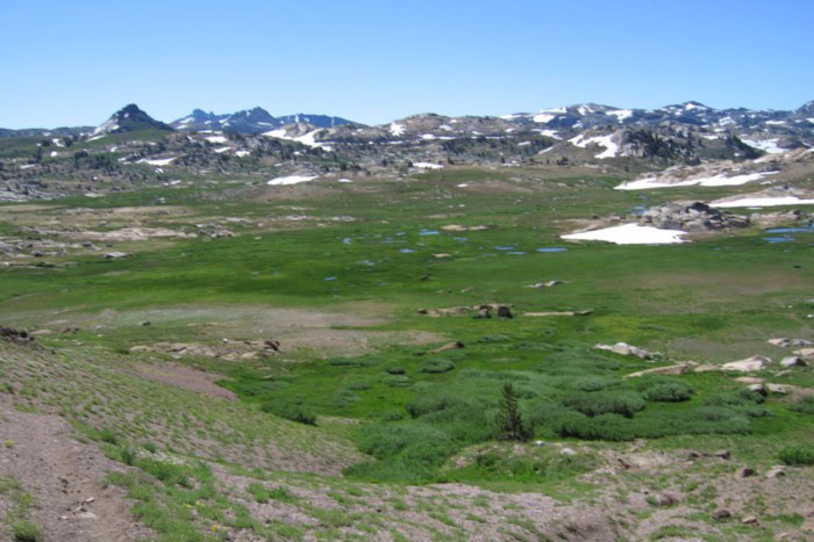 Alpine meadow scenery near Kennedy Meadows Resort & Pack Station in Pinecrest, California