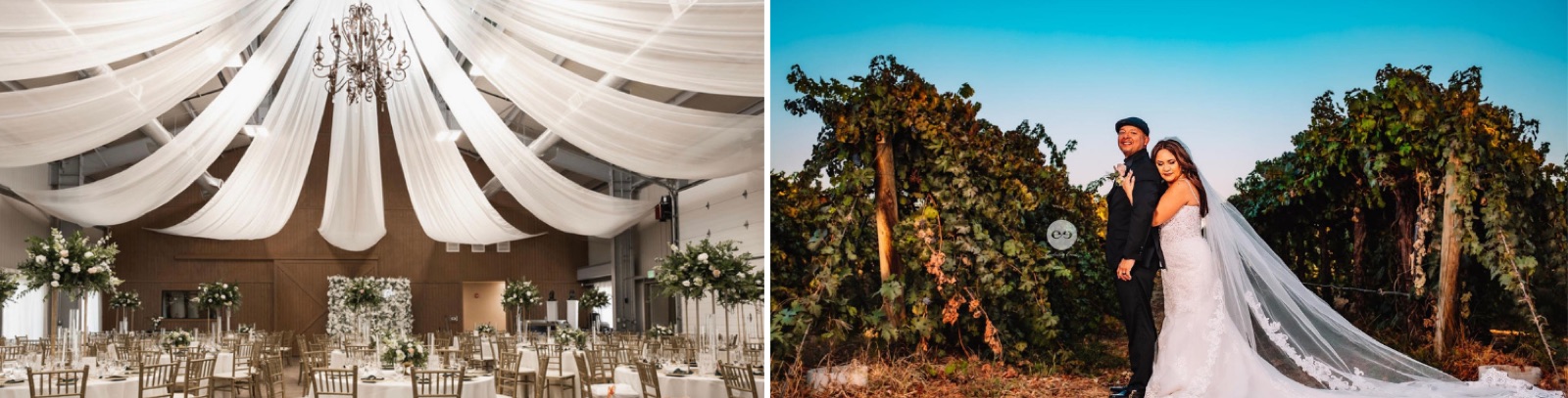 Reception space at Kings River Winery wedding venue in Sanger, California