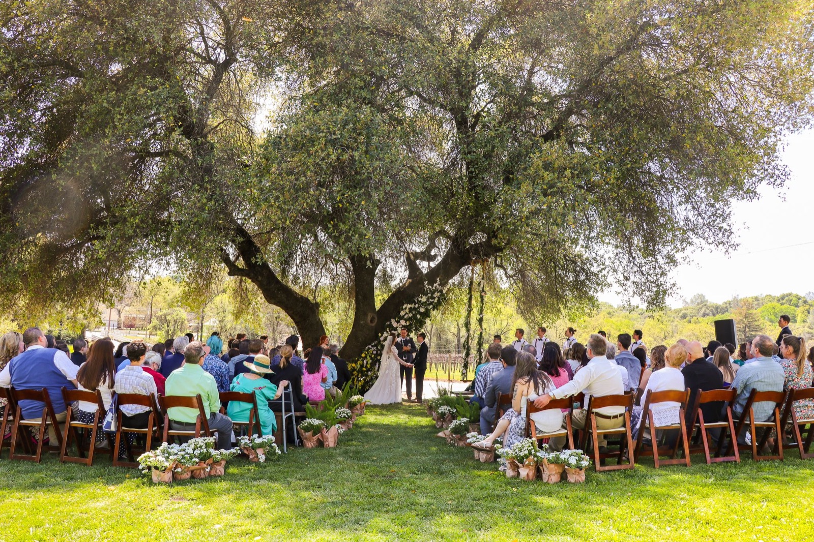 Interior of the reception barn with chandeliers at Mount Brow Vineyard wedding venue in Sonora, California