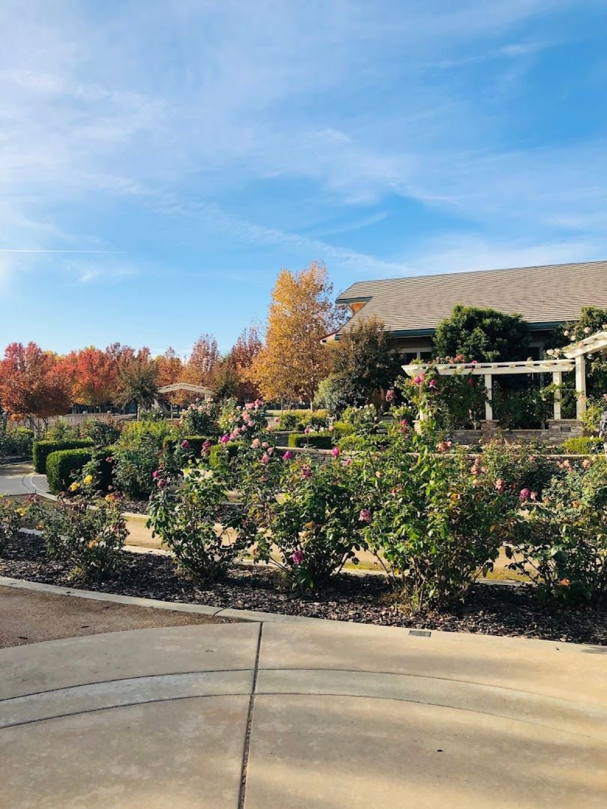 Trellis and rose beds at Natomas Rose Garden wedding venue in Sacramento, California