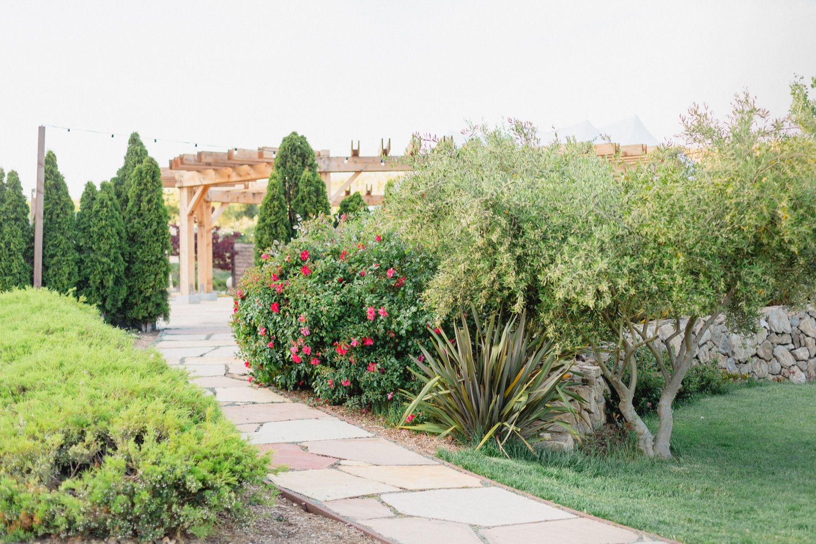 Nella Terra Cellars