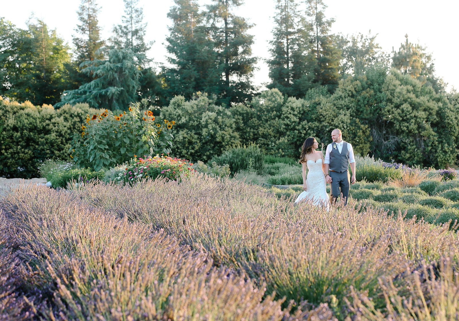 Outdoor lawn ceremony setup at Pageo Lavender Farm wedding venue in Turlock, California