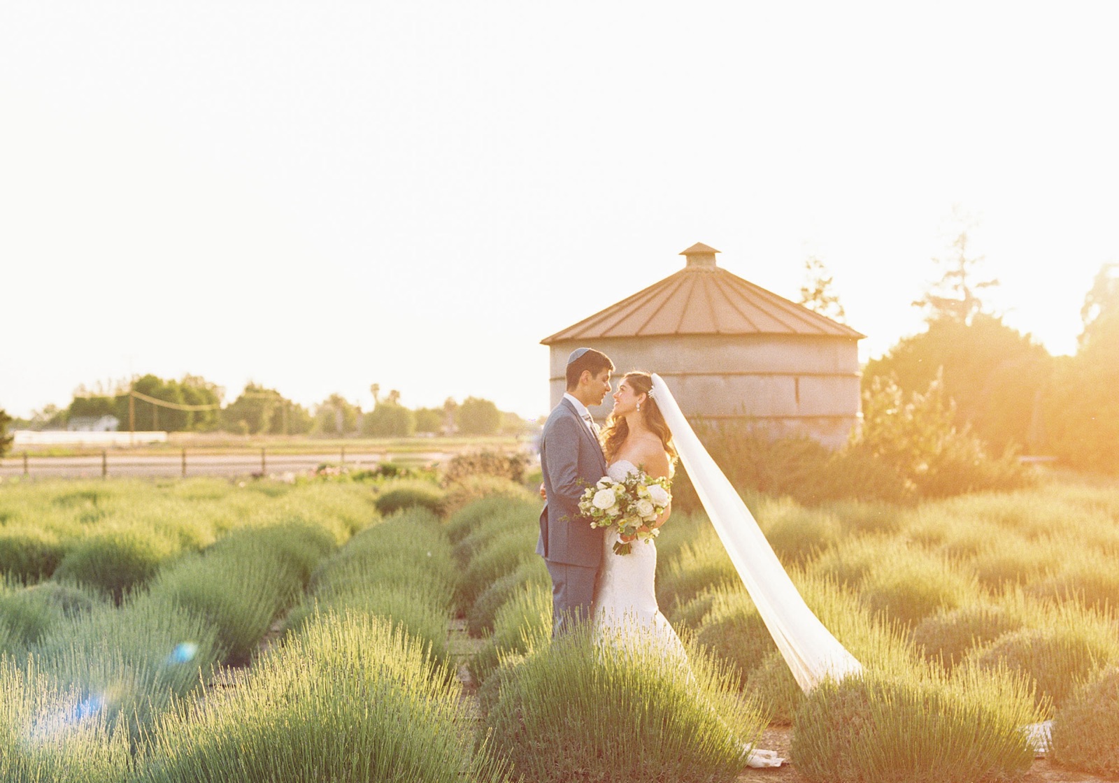 Couple posing in the lavender rows at Pageo Lavender Farm in Turlock, California