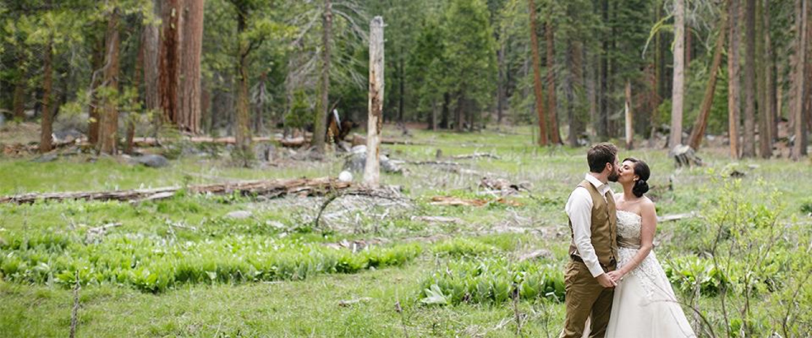 Wooded grounds and chalets at Pinecrest Chalet wedding venue in Pinecrest, California