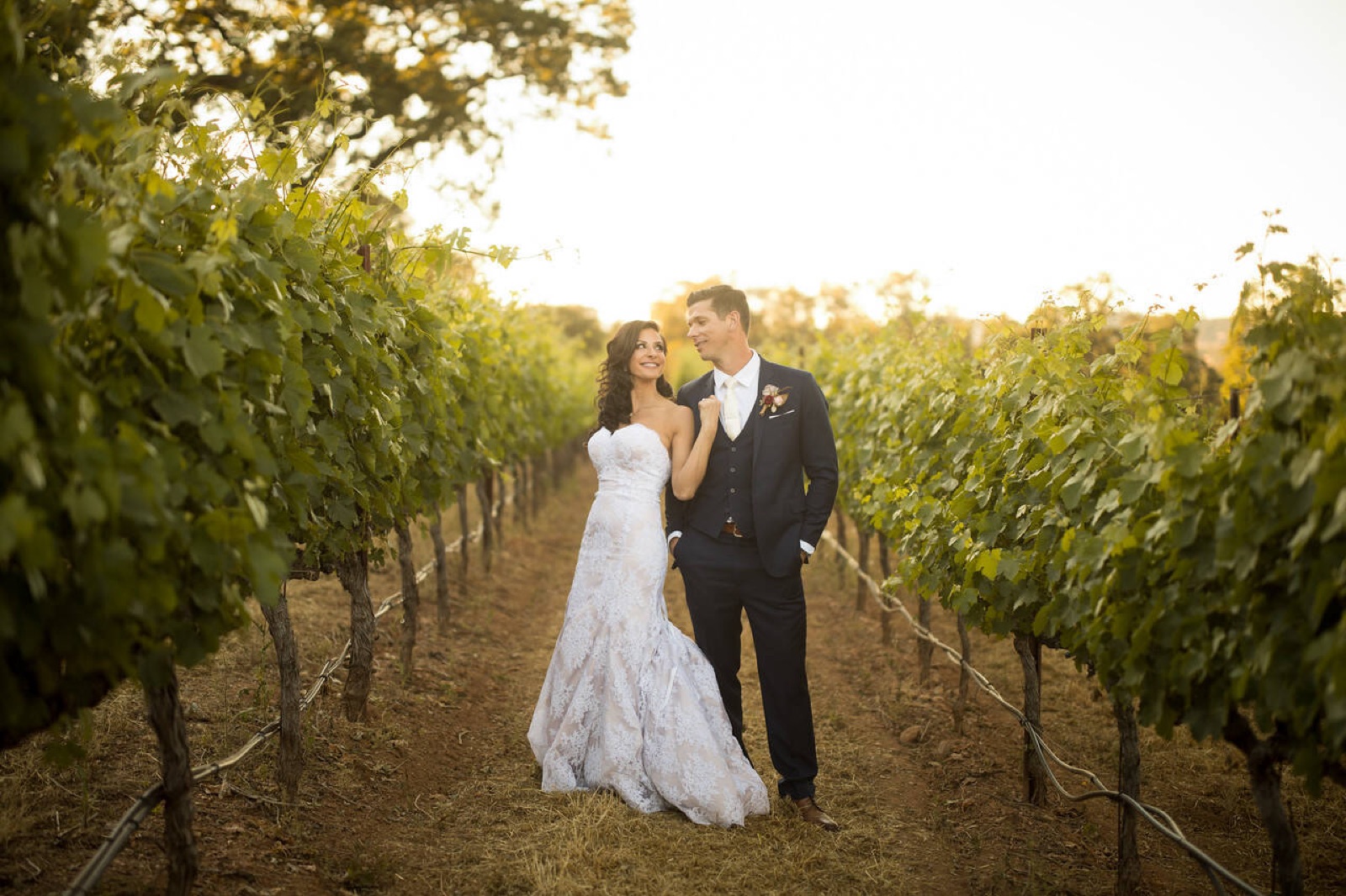 Vineyard wedding celebration at Prospect 772 Wine Company in Angels Camp, California