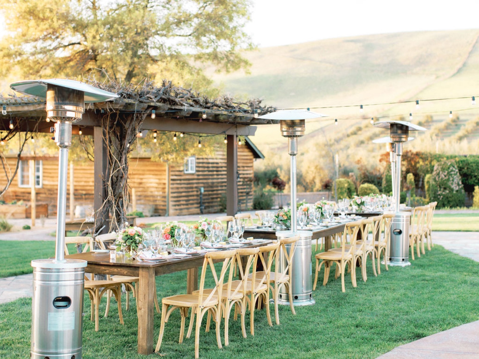 Newlywed couple portrait on the grounds of Purple Orchid Wine Country Resort & Spa in Livermore, California