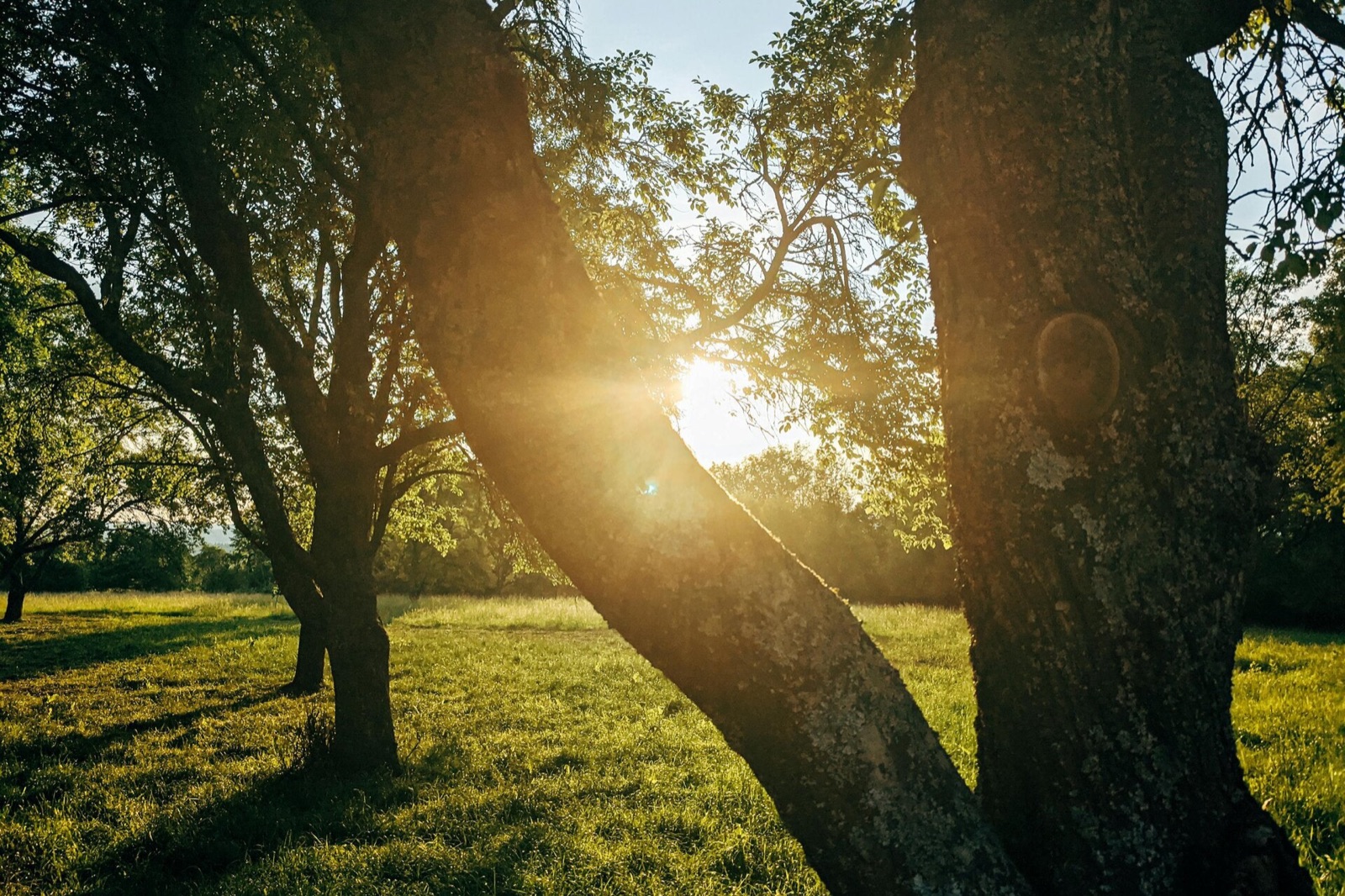 Outdoor ceremony lawn setting at River View Ranch wedding venue in Snelling, California