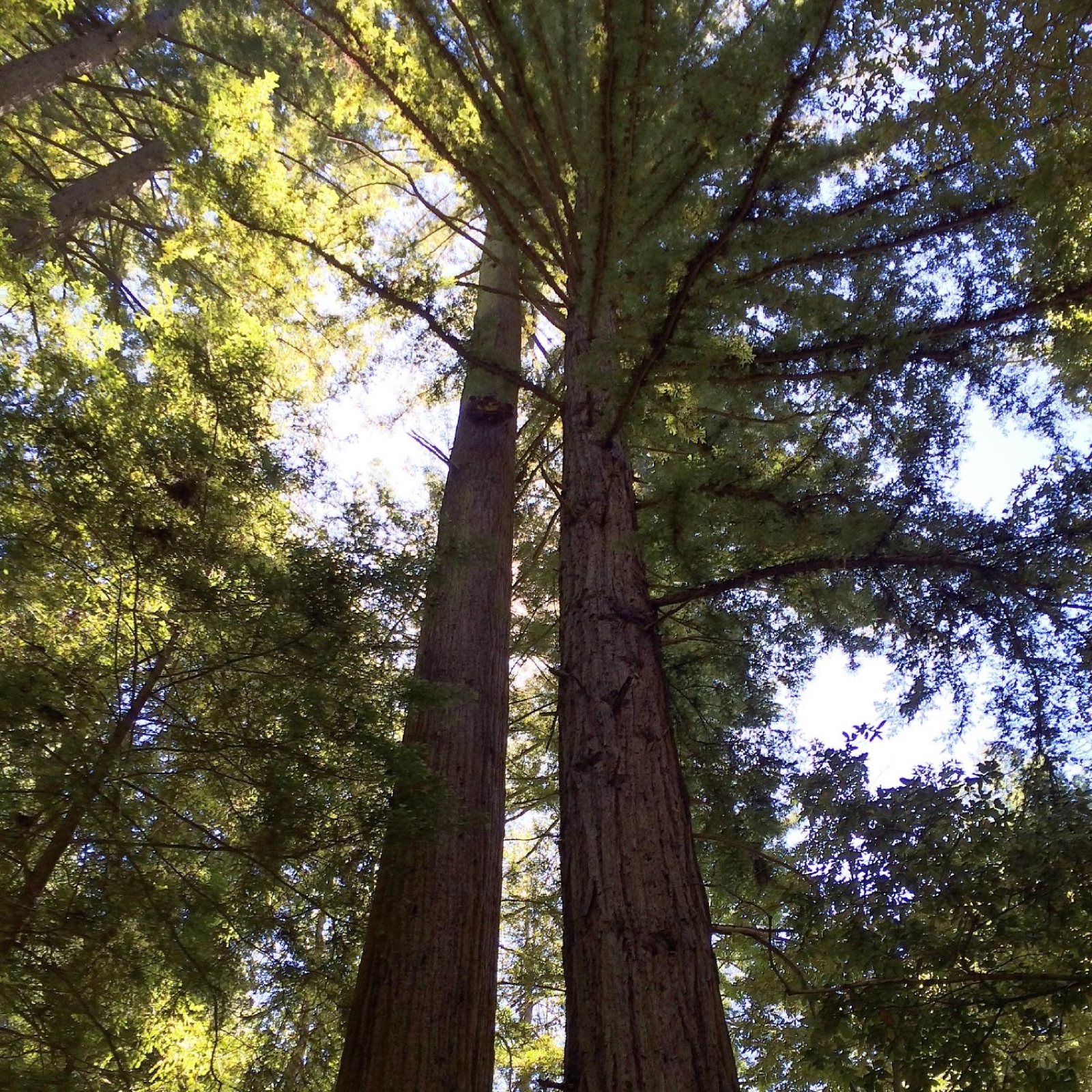 Sanborn County Park
