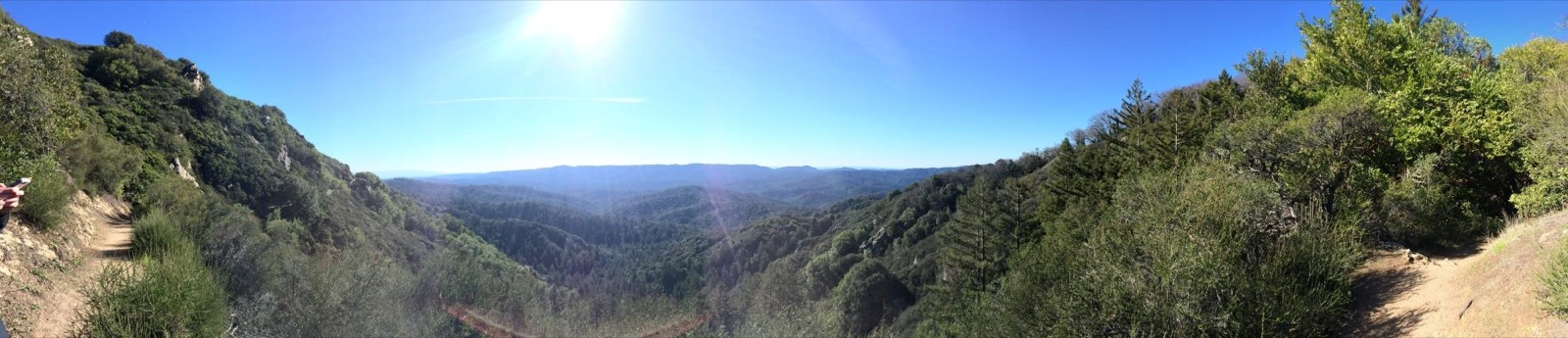 Redwood grove and natural surroundings at Sanborn County Park in Saratoga, California