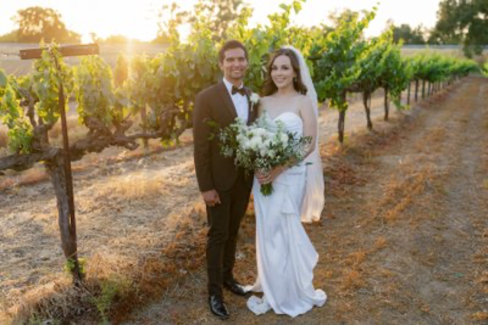 Evening vineyard scenery at Scribner Bend Vineyards wedding venue in Sacramento, California