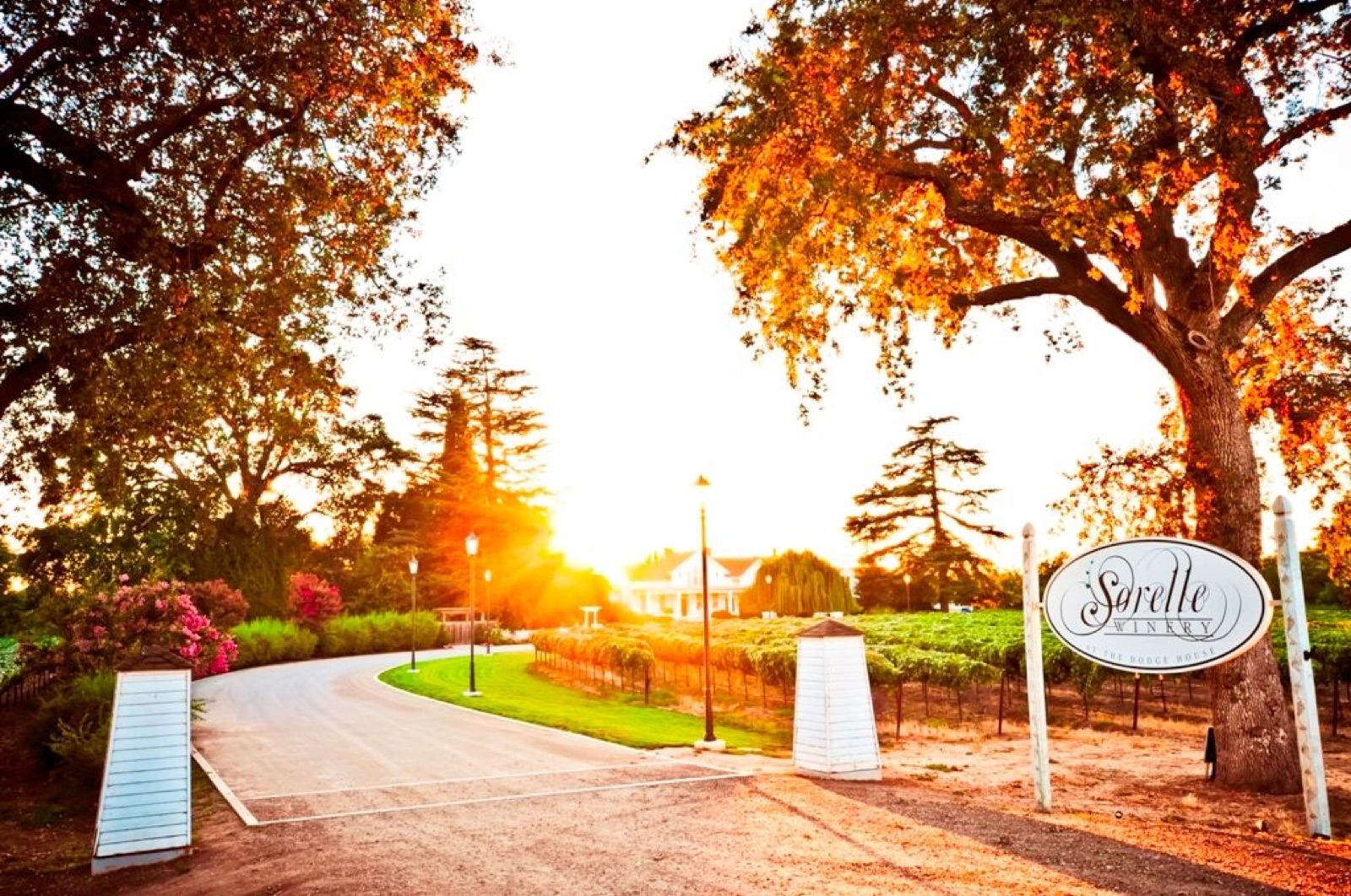 Sorelle Winery