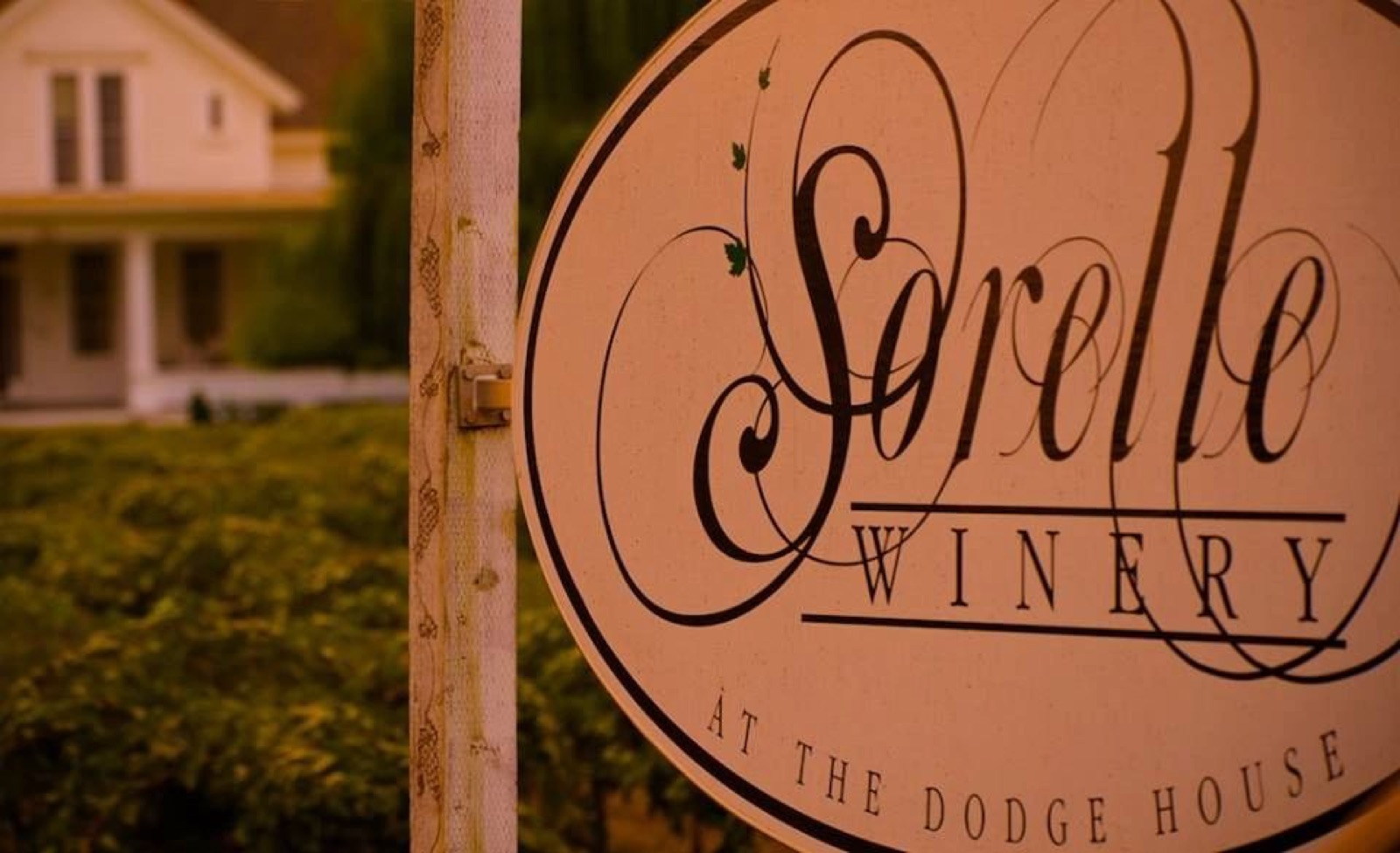 Vineyard grounds and tasting room setting at Sorelle Winery in Stockton, California