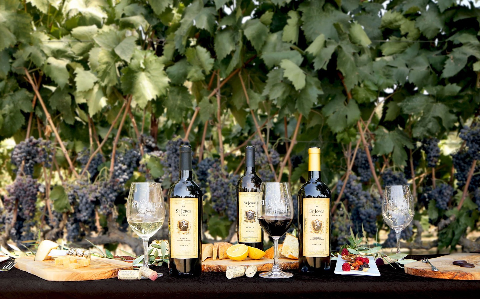 Outdoor grounds and architecture at St. Jorge Winery wedding venue in Acampo, California