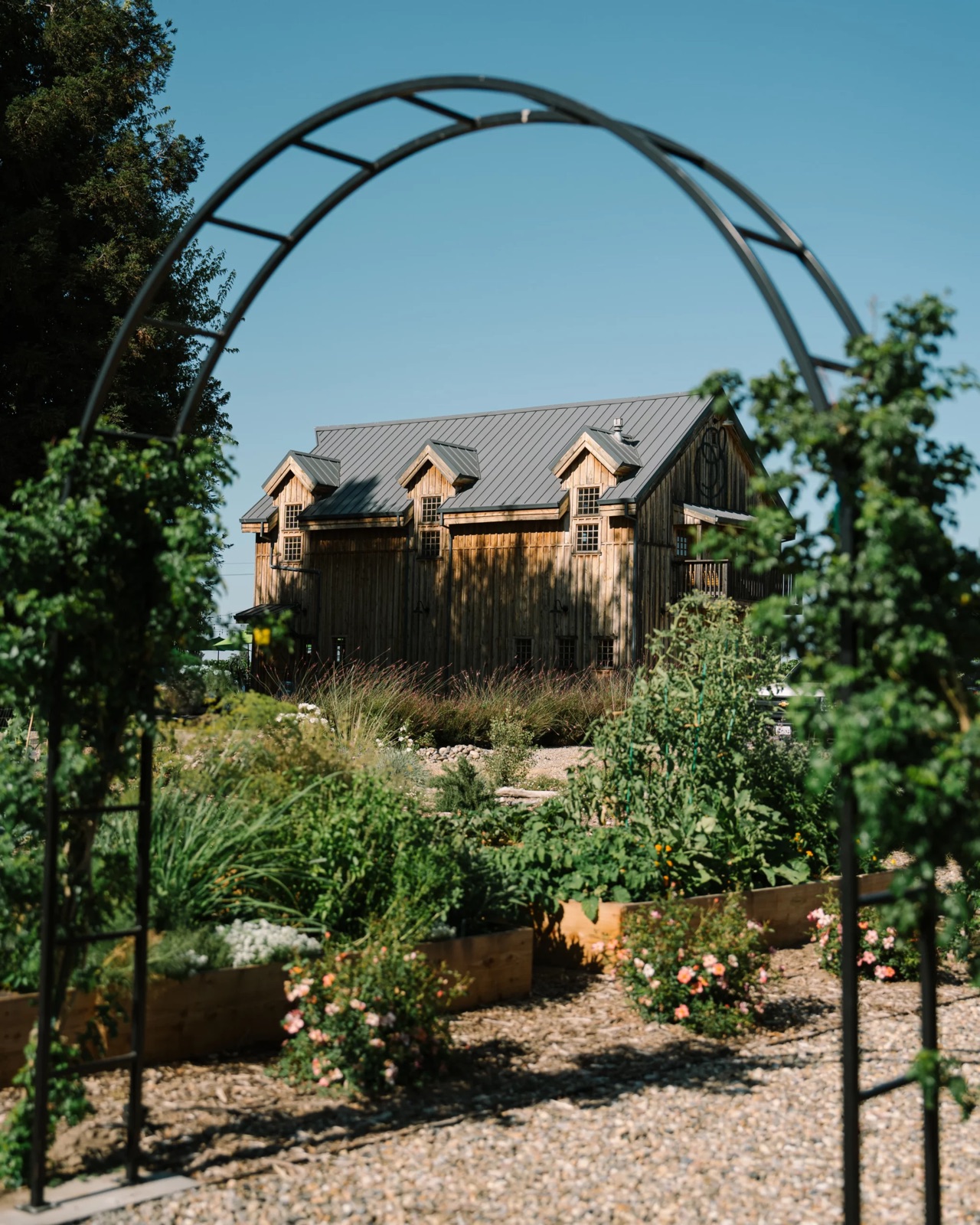 Vineyard and grounds at Stonum Vineyards wedding venue in Lodi, California