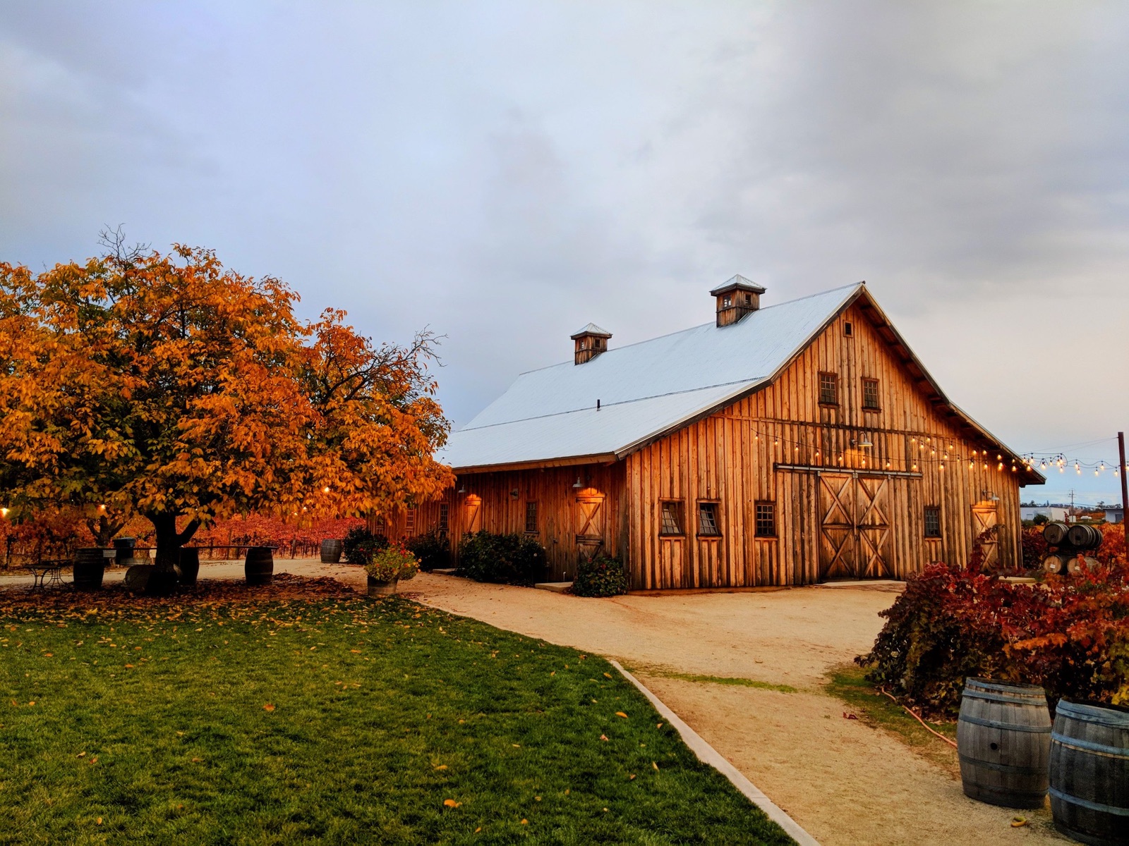 The Barn at Amador Cellars surrounded by autumn vineyards in Plymouth, California