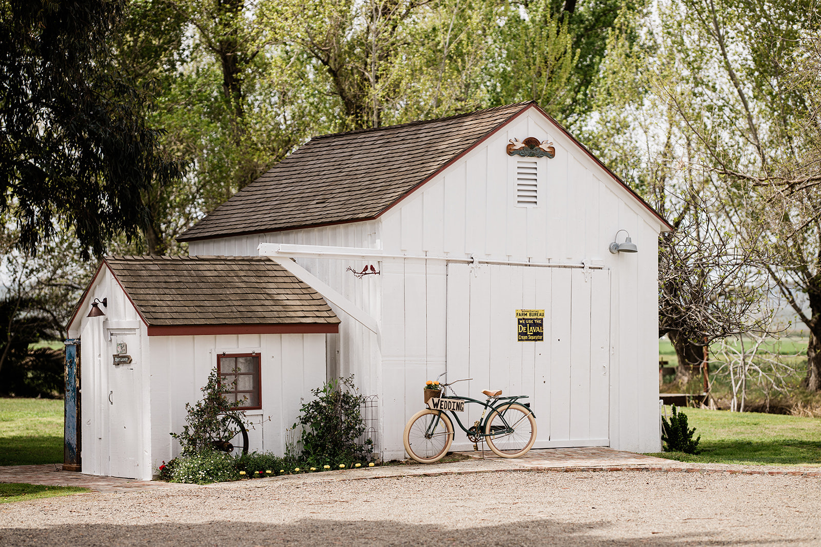 San Luis Creek and cottonwood trees at The Bird Ranch wedding venue in Gustine, California