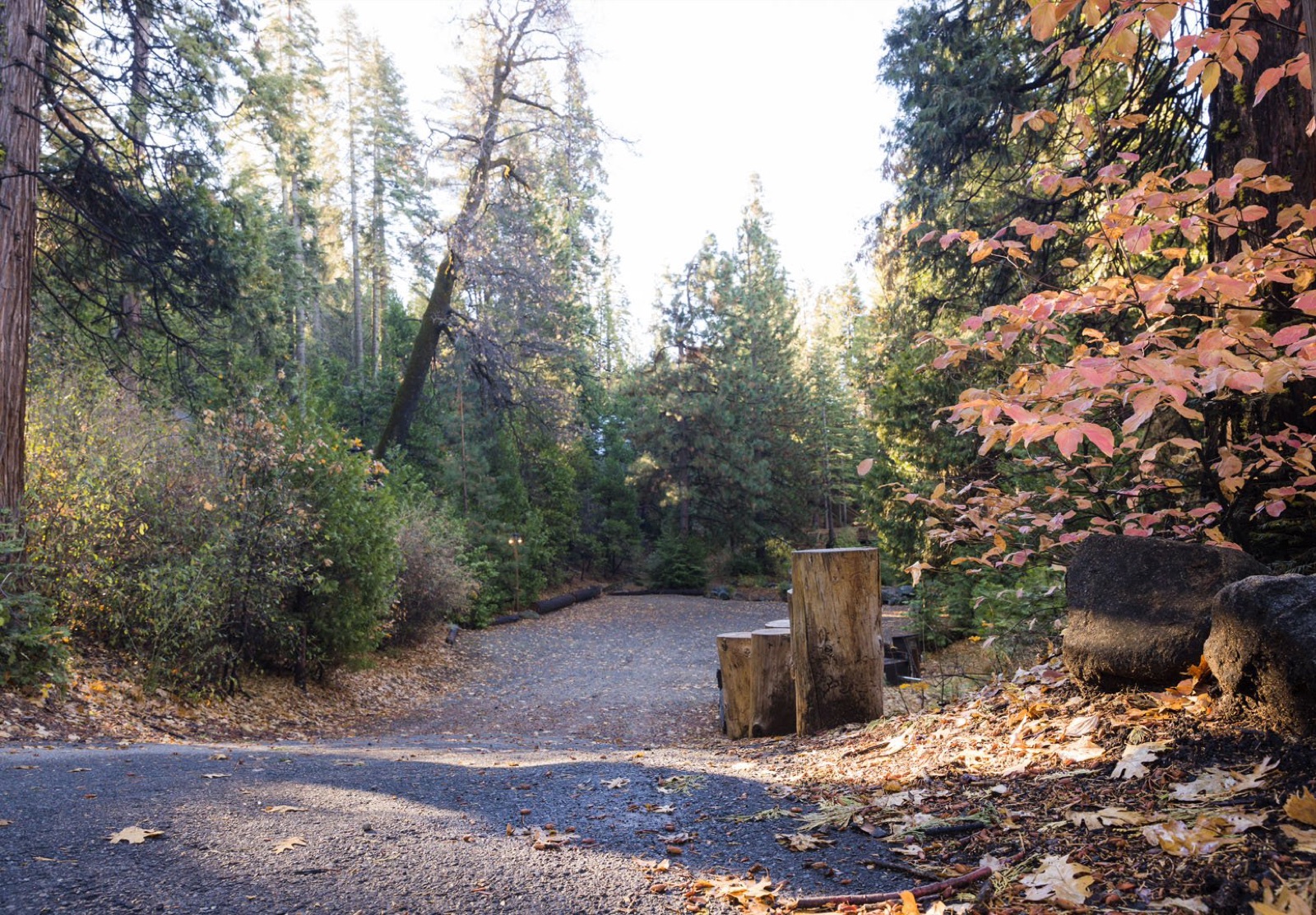 Evergreen Garden Pond ceremony setting at The Lodge at Two Moons wedding venue in Oakhurst, California