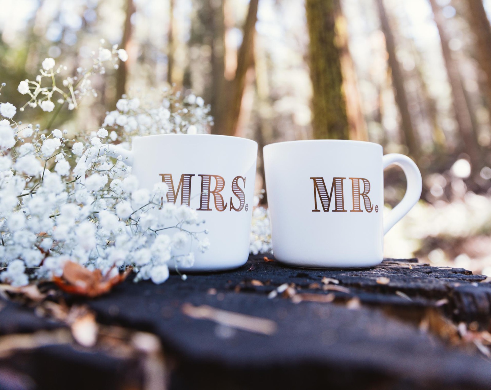 Outdoor wedding ceremony in the forest at The Lodge at Two Moons in Oakhurst, California