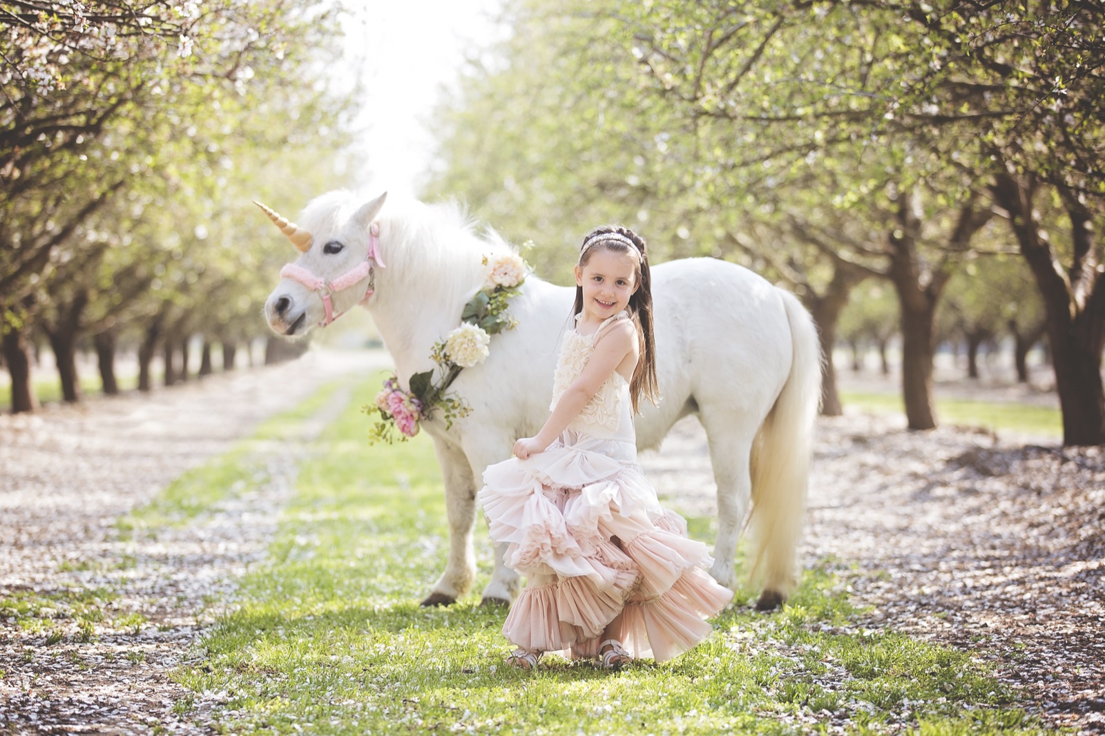 Wedding reception celebration at The Manor Estate in Madera, California