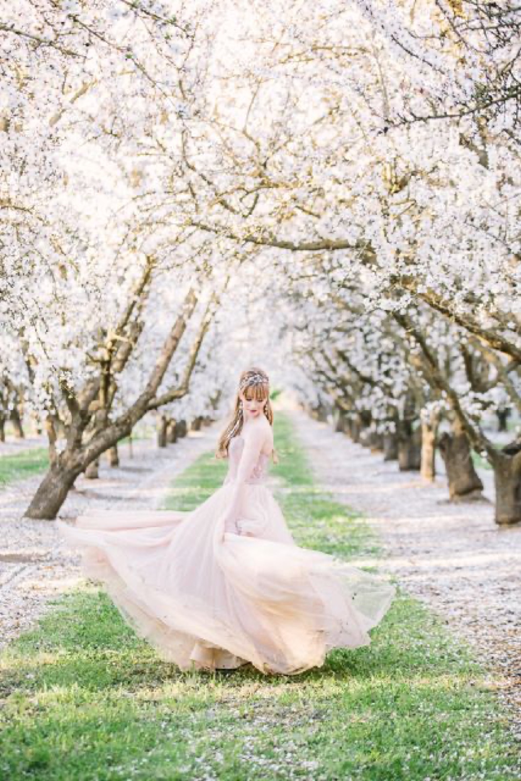Almond orchard grounds at The Manor Estate wedding venue near Madera, California