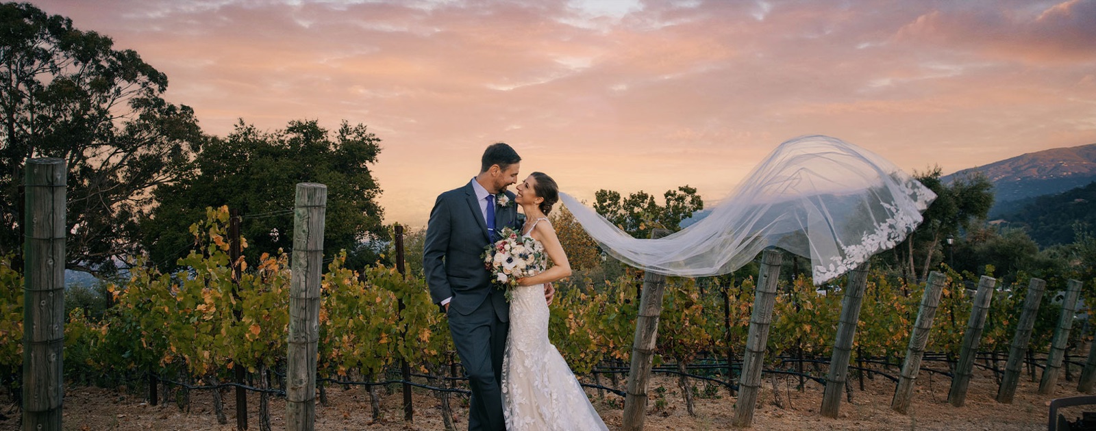 The Mountain Winery