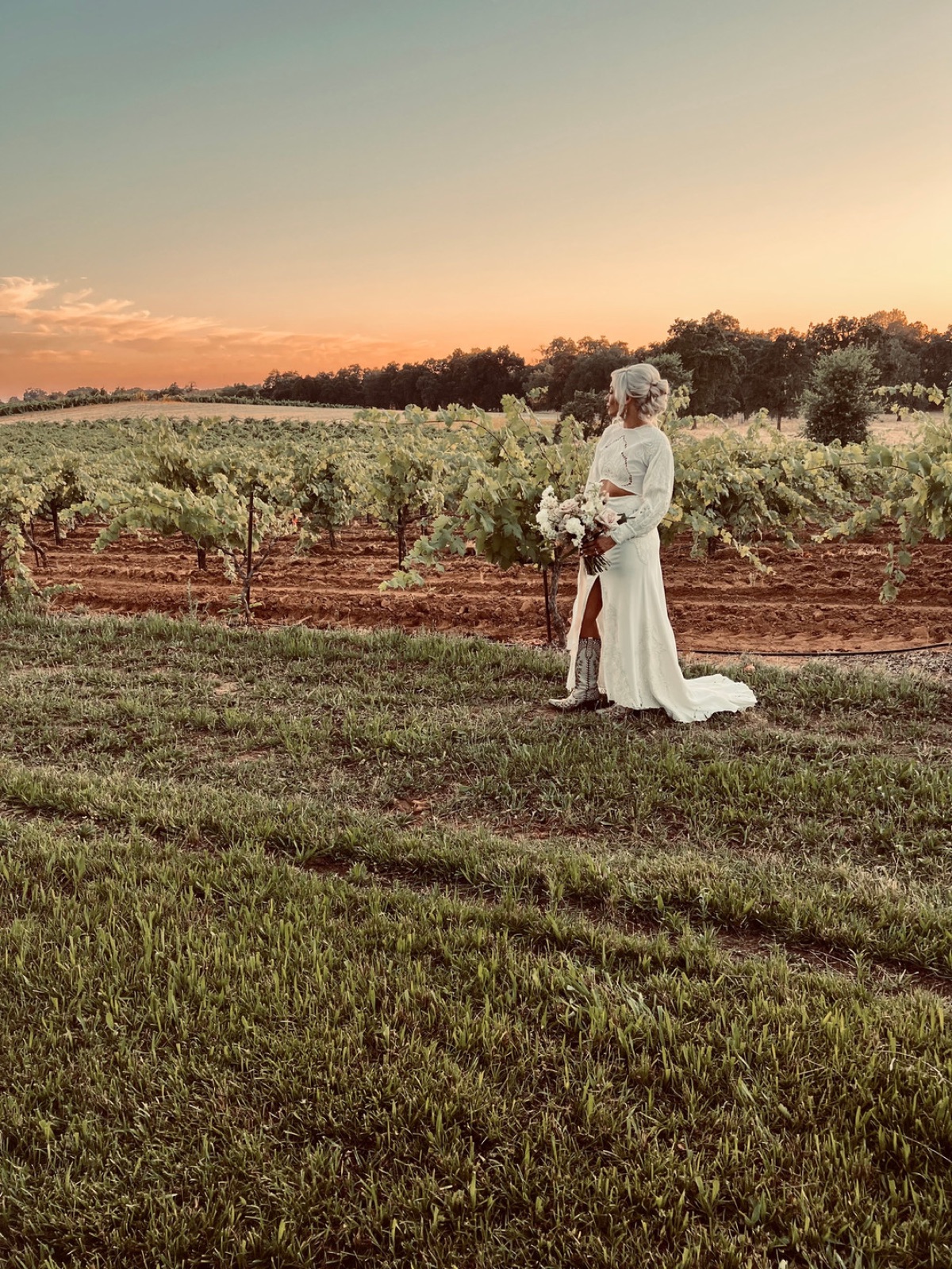 Bride in the vineyard at The White Barn at The Shenandoah Farmhouse in Plymouth, California