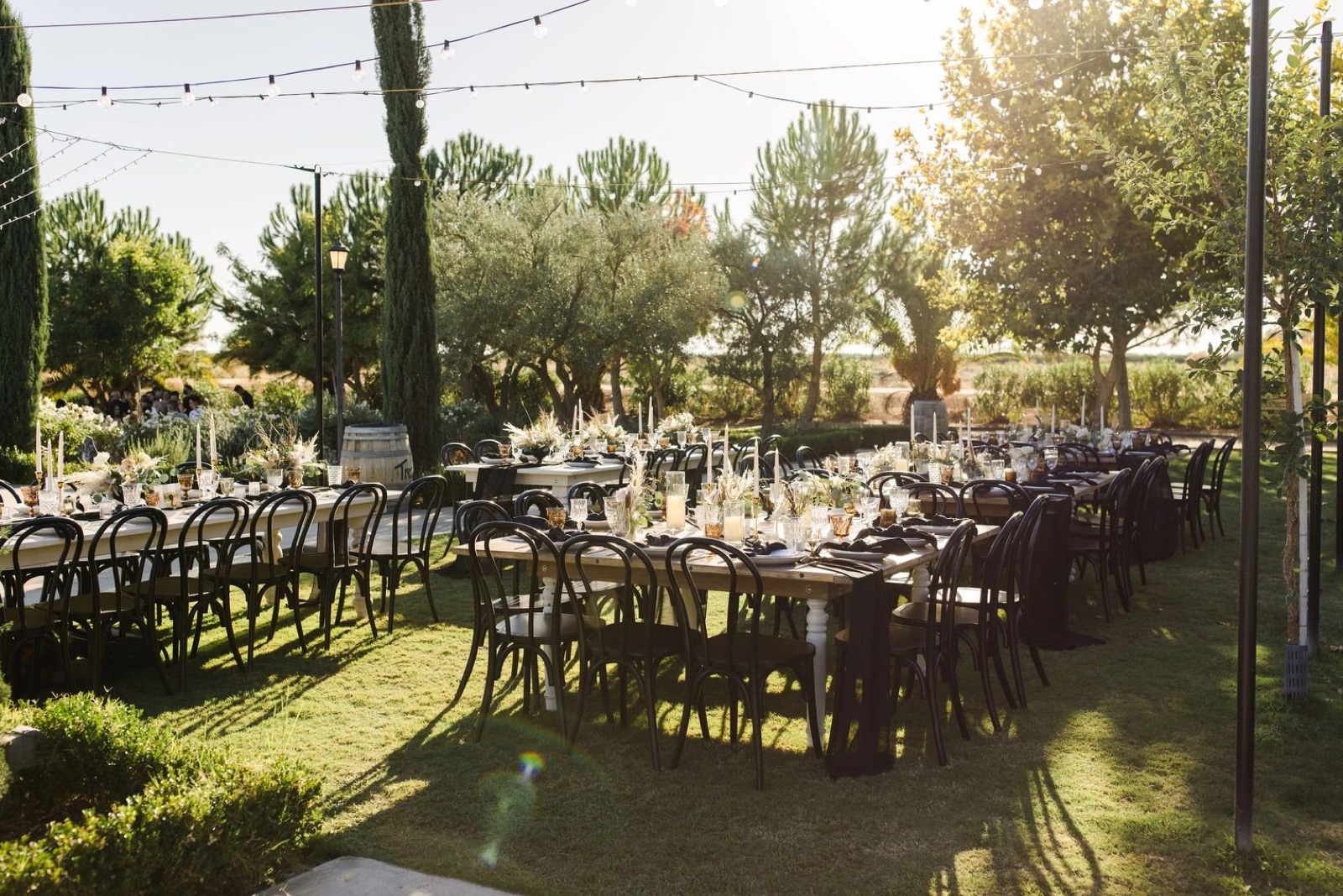 Toca Madera Winery