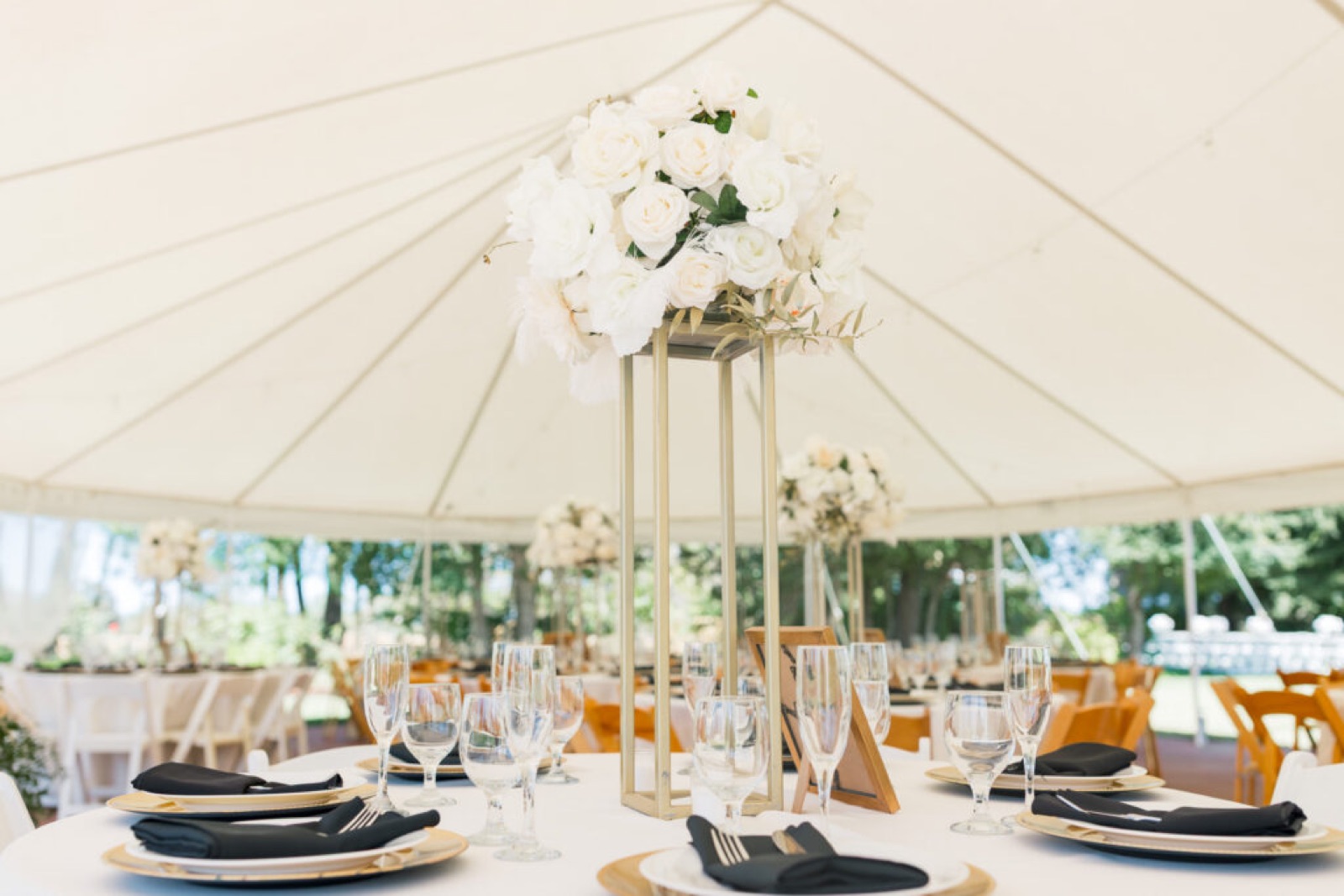 White reception tent with bistro lighting at TULU Vineyards wedding venue in Galt, California