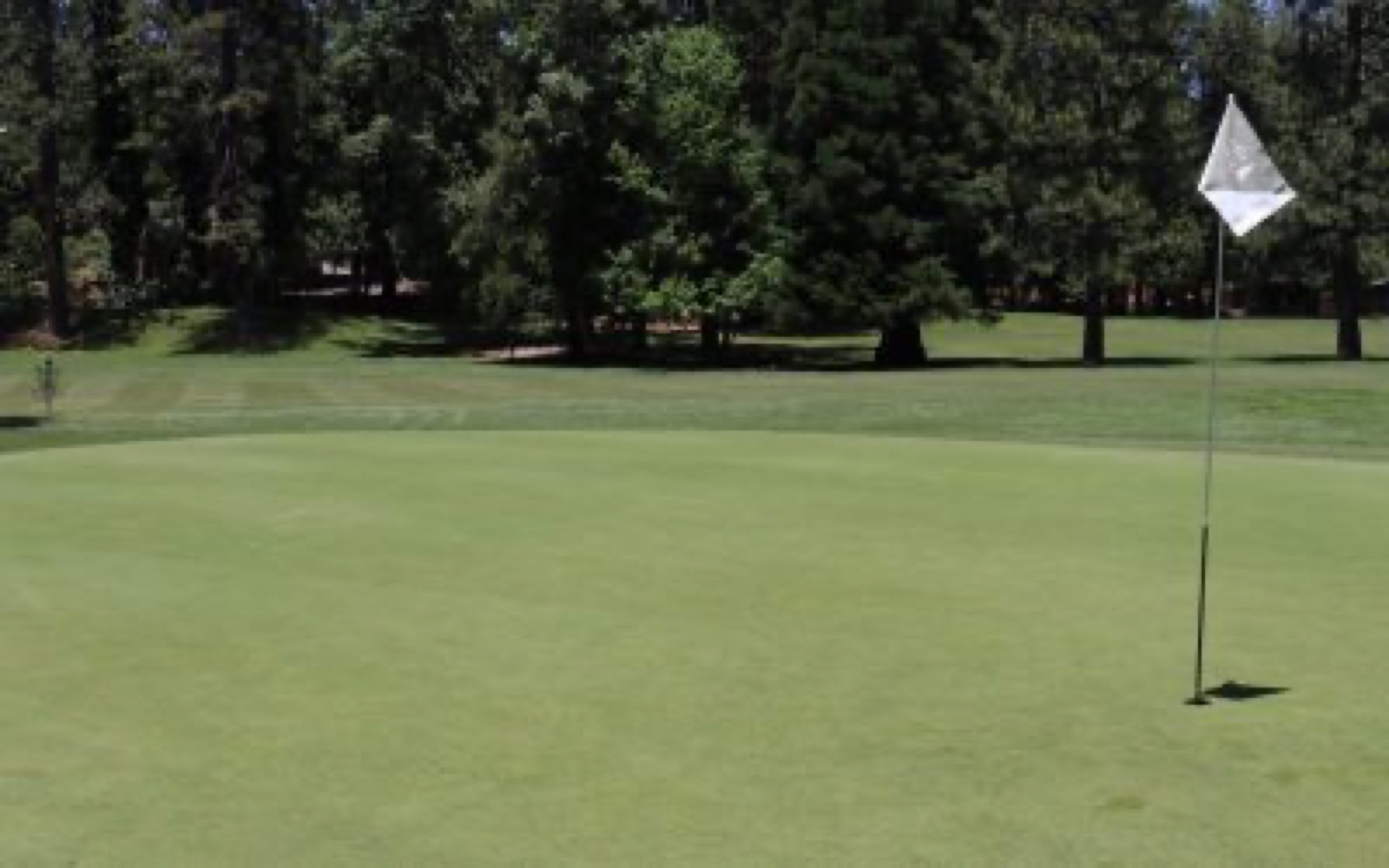 Course grounds and landscaping at Twain Harte Golf Course wedding venue in Twain Harte, California